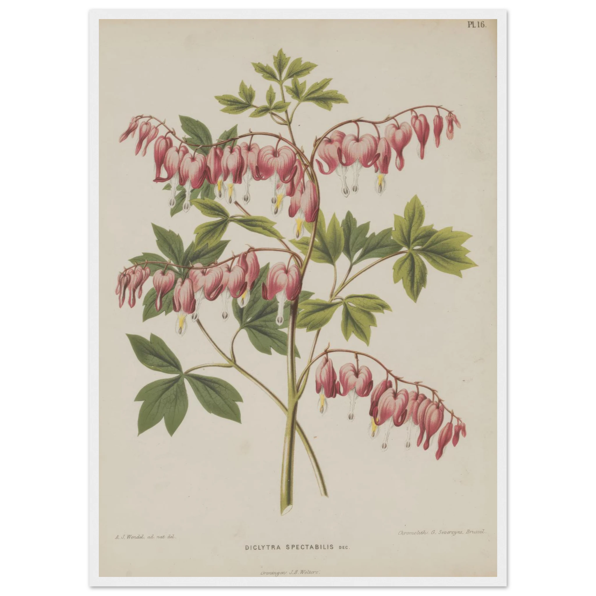 3f9e9186-1e01-4097-af16-f8211c4420e8