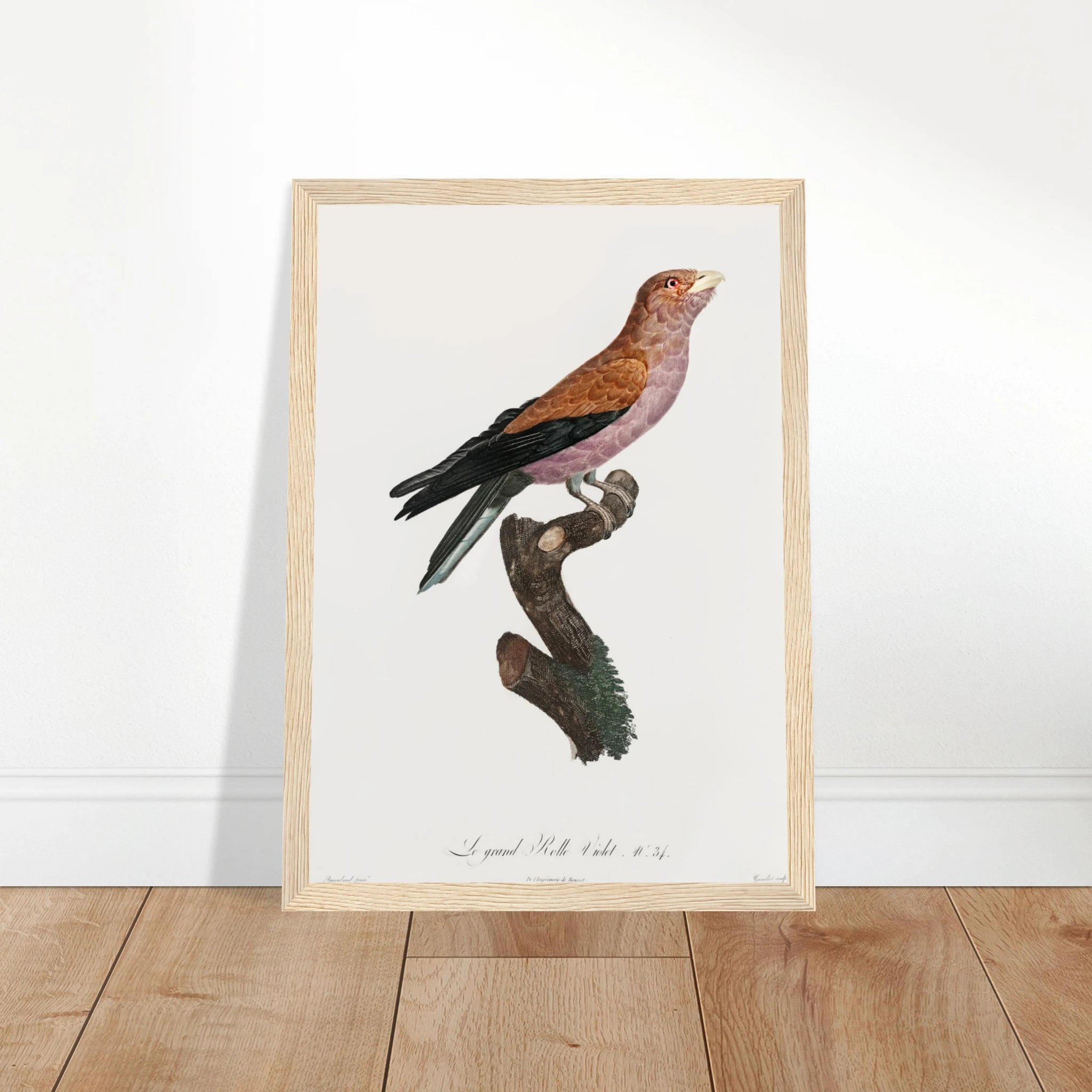 3fc574d1-41b1-4b59-b906-7a74bea3c4fa