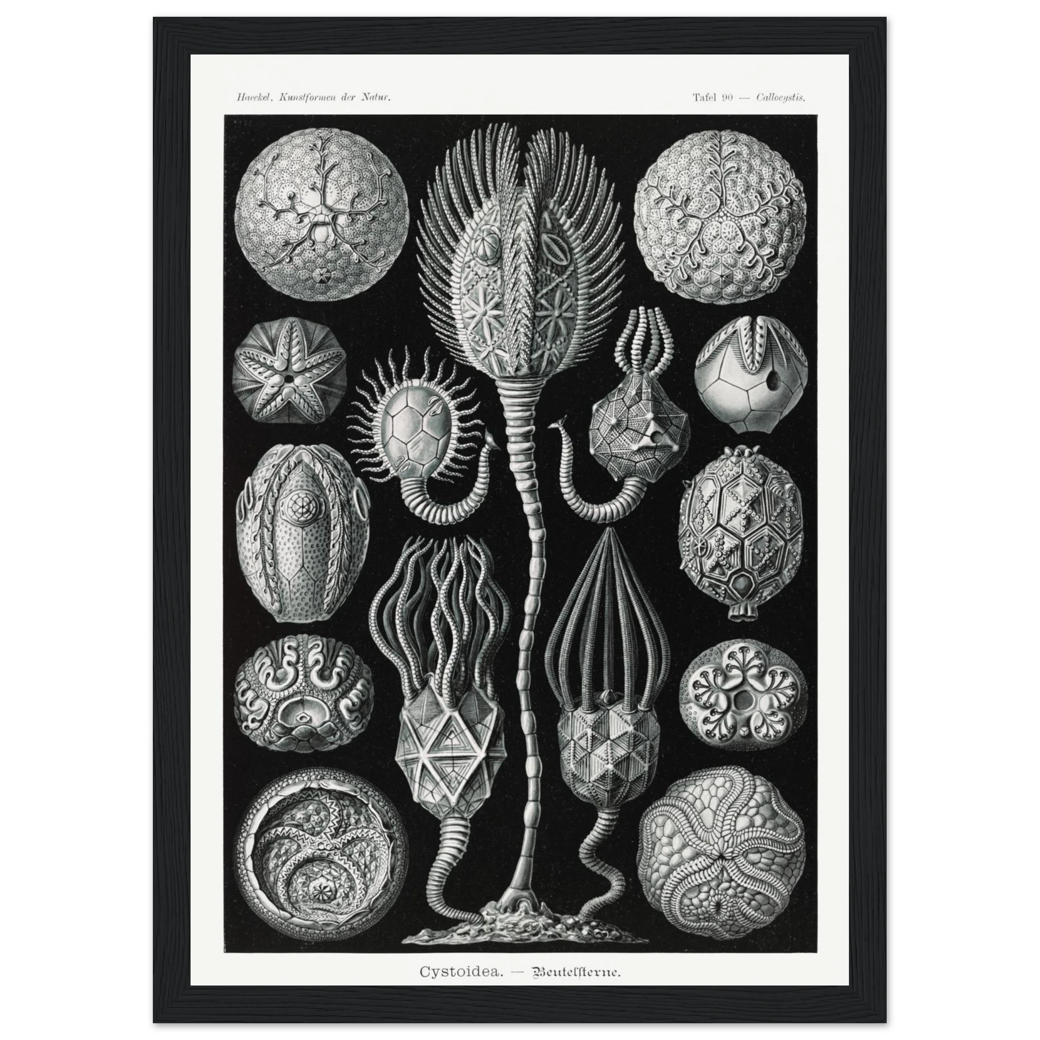 3fdaa329-299d-40bd-af5e-dcedffda9502