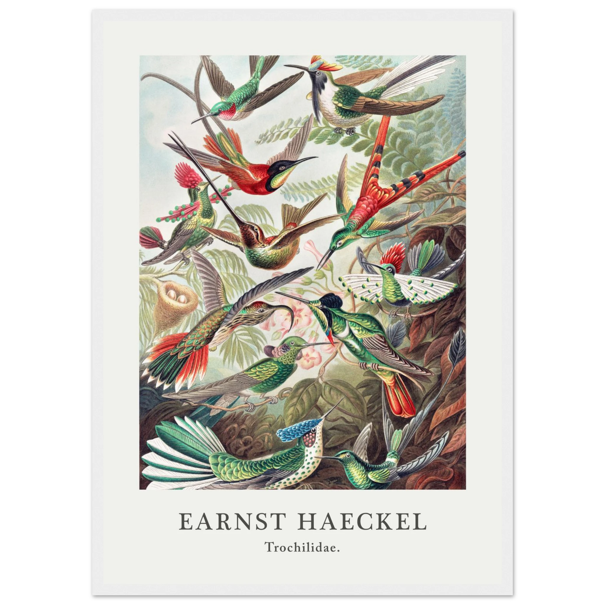 3fe62c03-e1c5-450f-b744-00ae621e546e