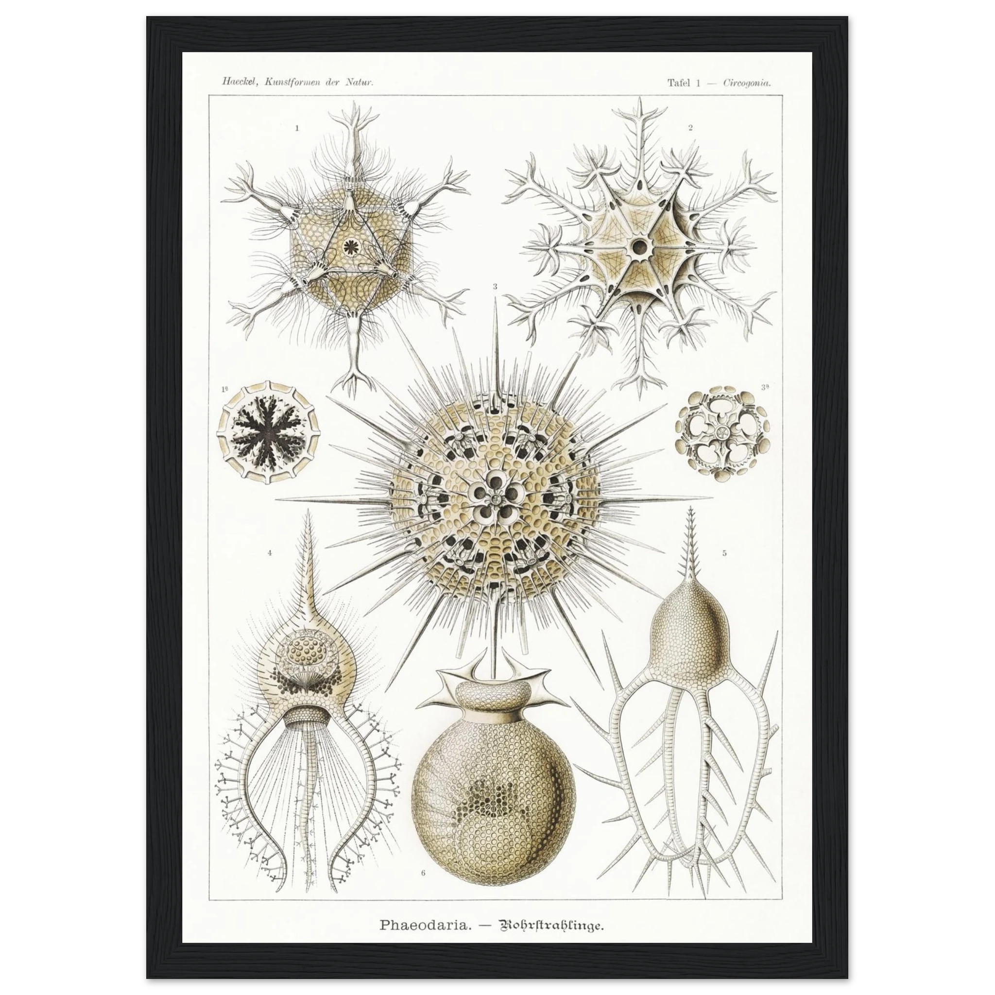 4017bfc5-67a6-4415-b5de-2947cf25e07f