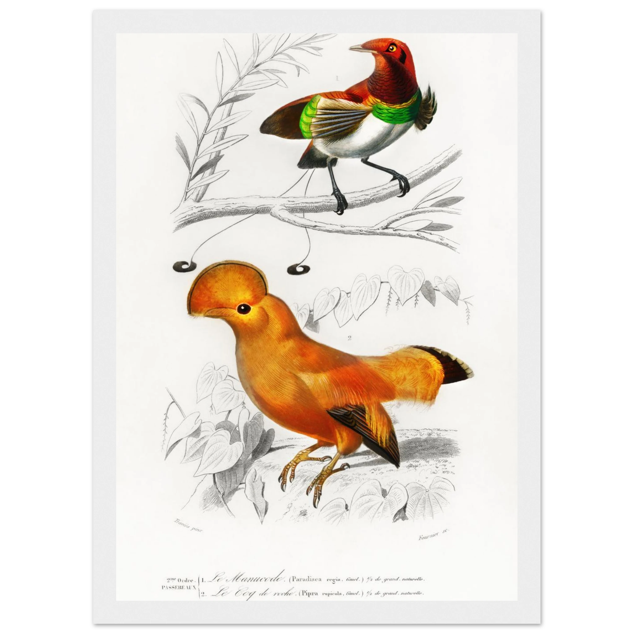 404a5f2d-a027-43d7-97c9-c3511c8f6e17