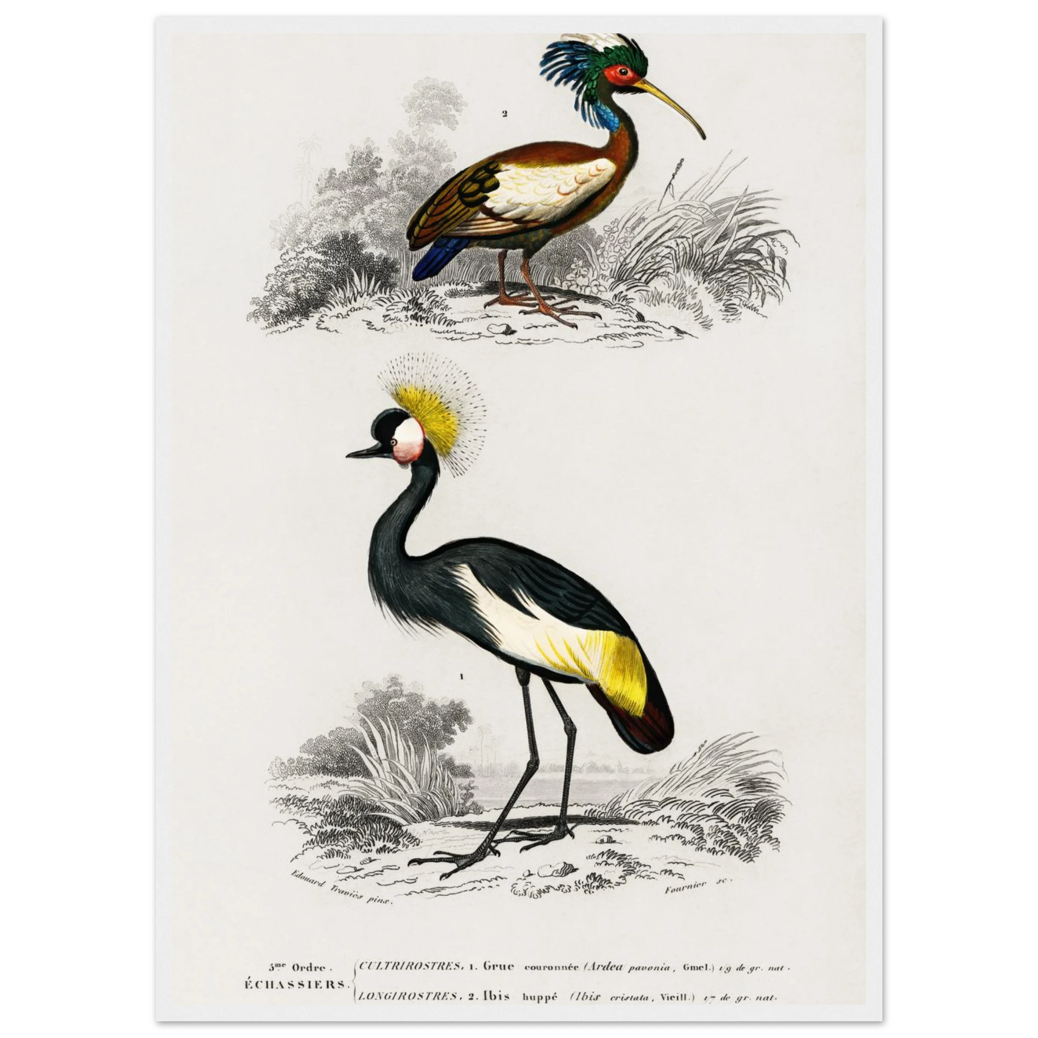 40750c37-2815-4841-acff-267649c43353