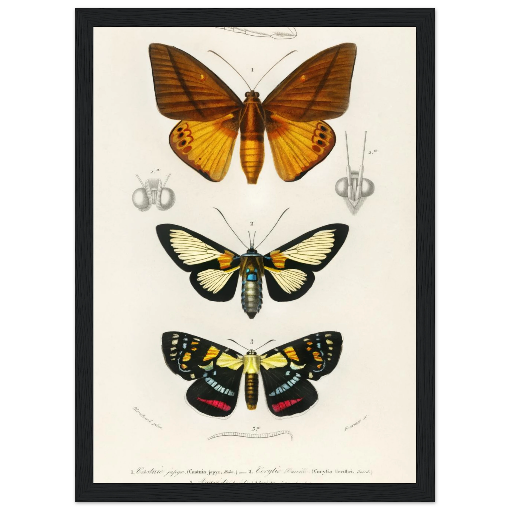 407bf989-a3ea-47b0-afad-1b5ecc7efcd6