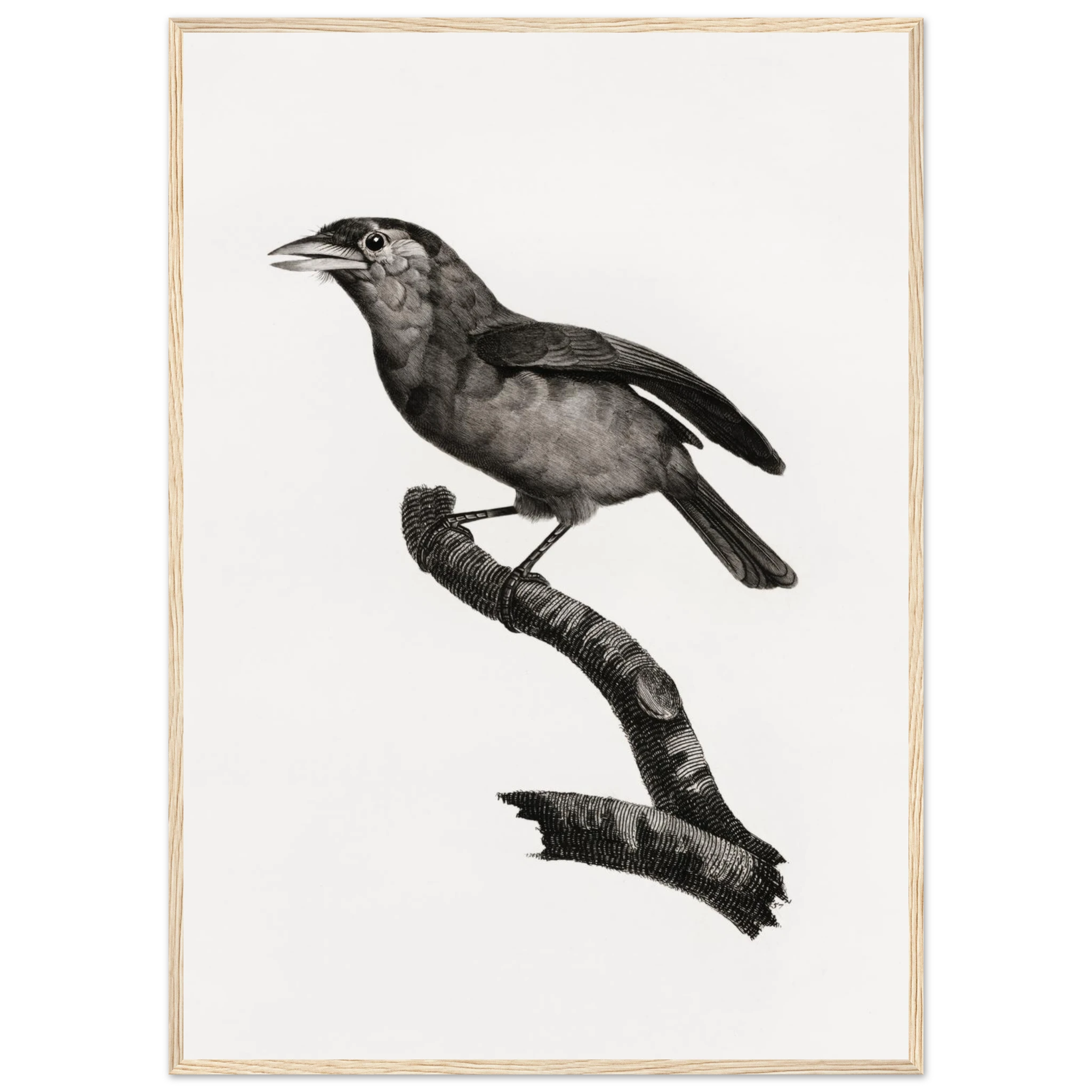 408153d5-f50c-49f8-b7c2-6bf64a080fc1