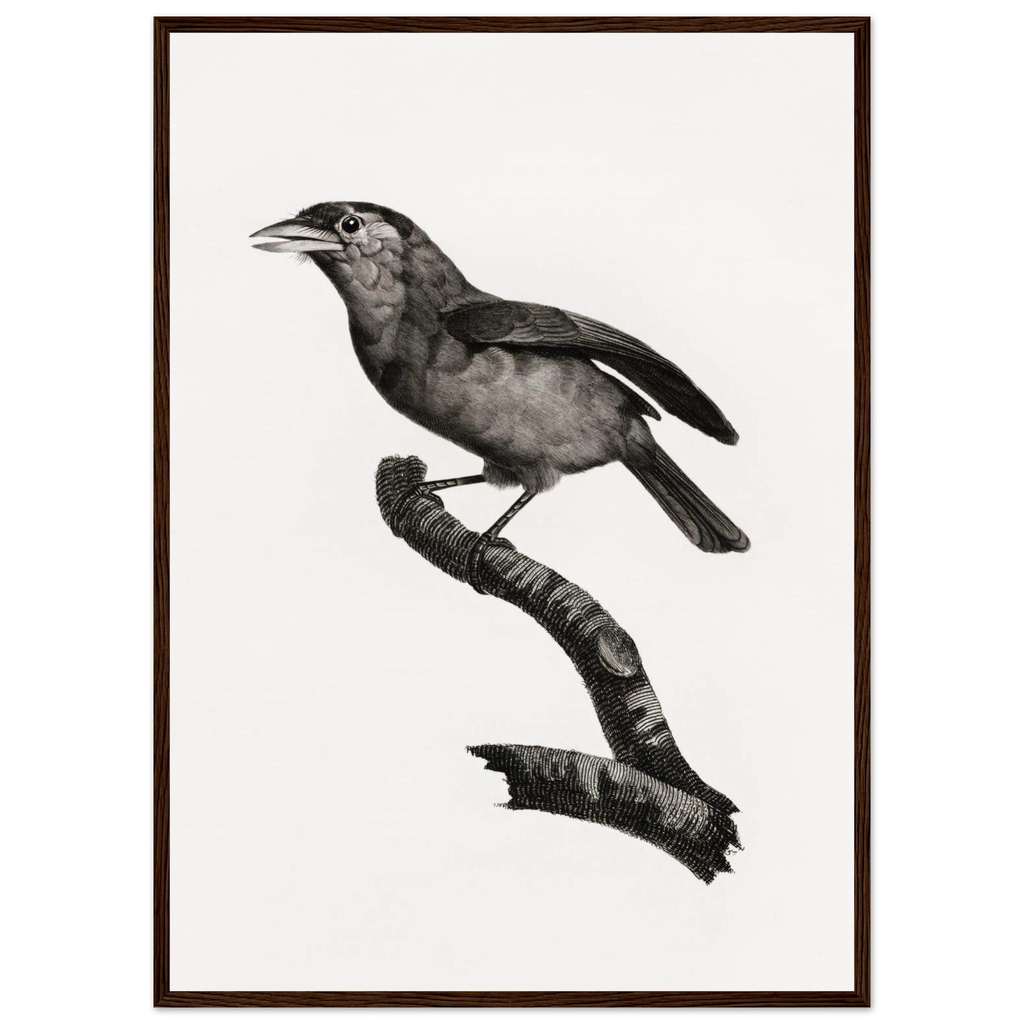 40858aac-30cd-4728-a1ae-6eadf089f010