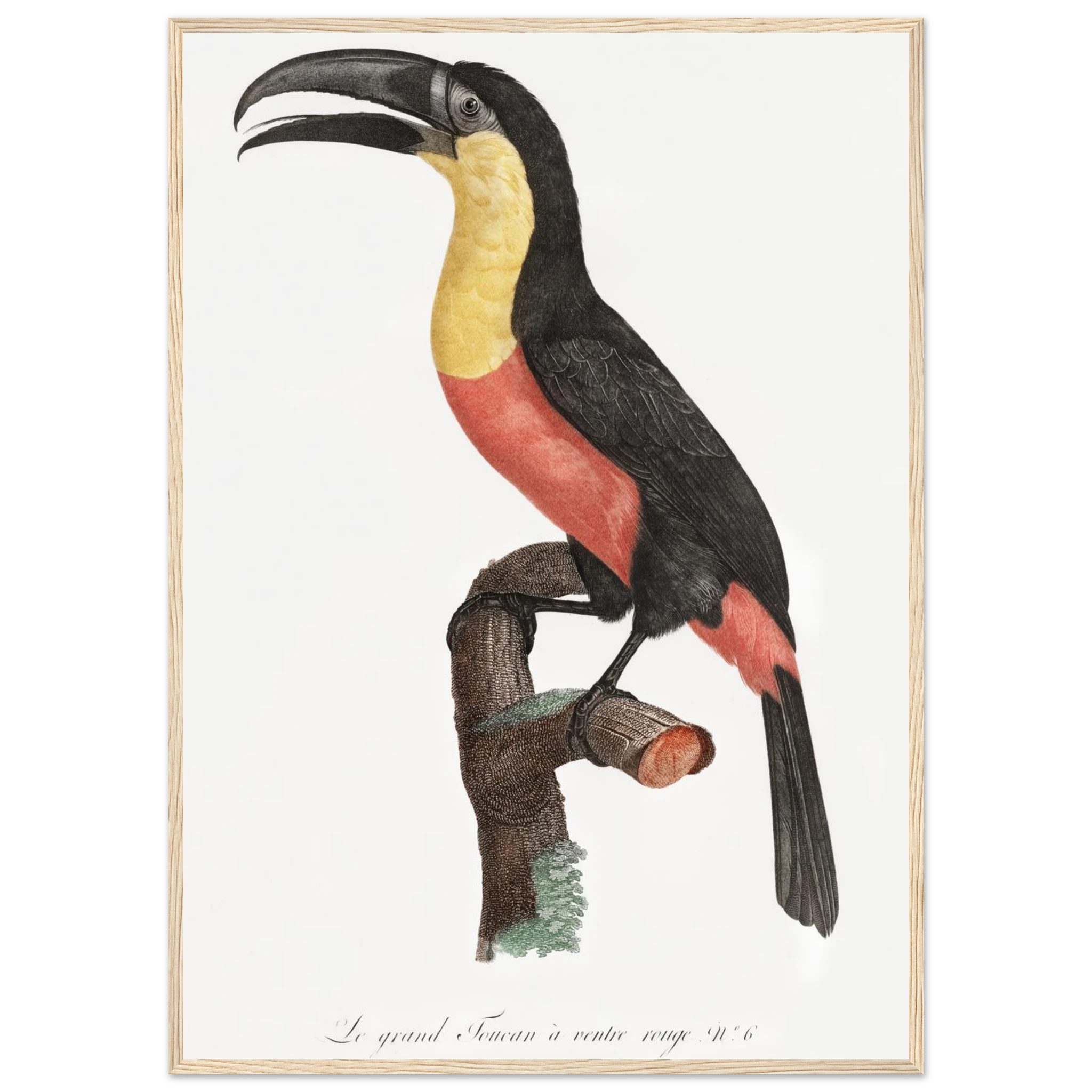 4094e7d2-288c-4ecb-b76c-0cb563ae7333