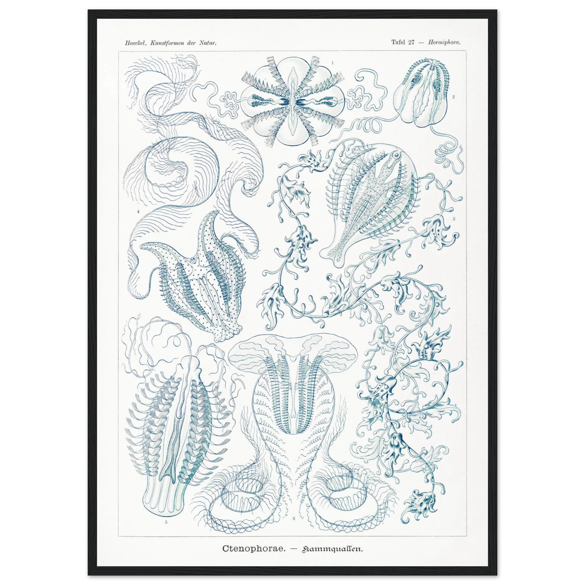 40e331cd-f202-49ee-8c28-5b26a21bdbc8