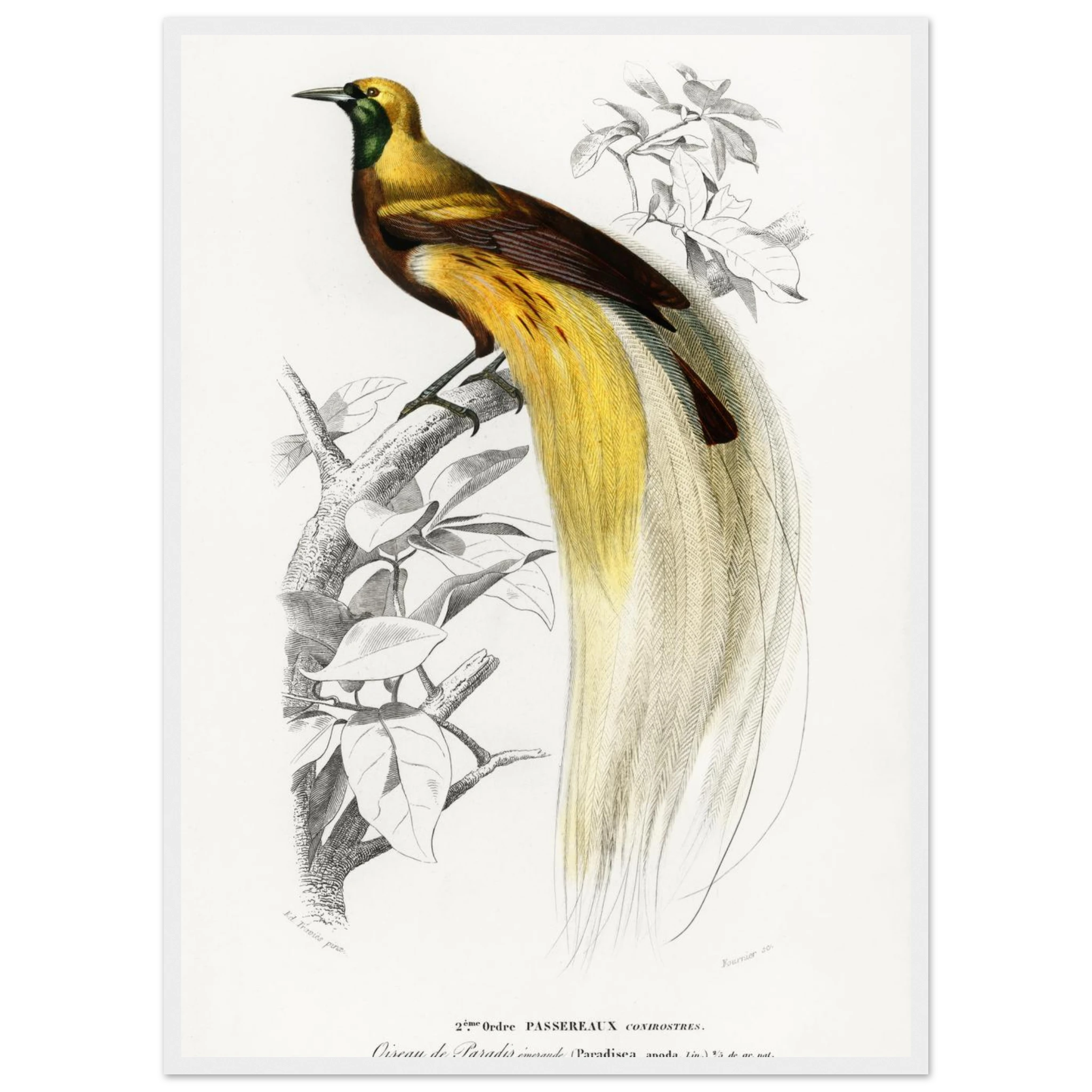 410d43bd-9e28-4d9b-92aa-8ec0e8027a17