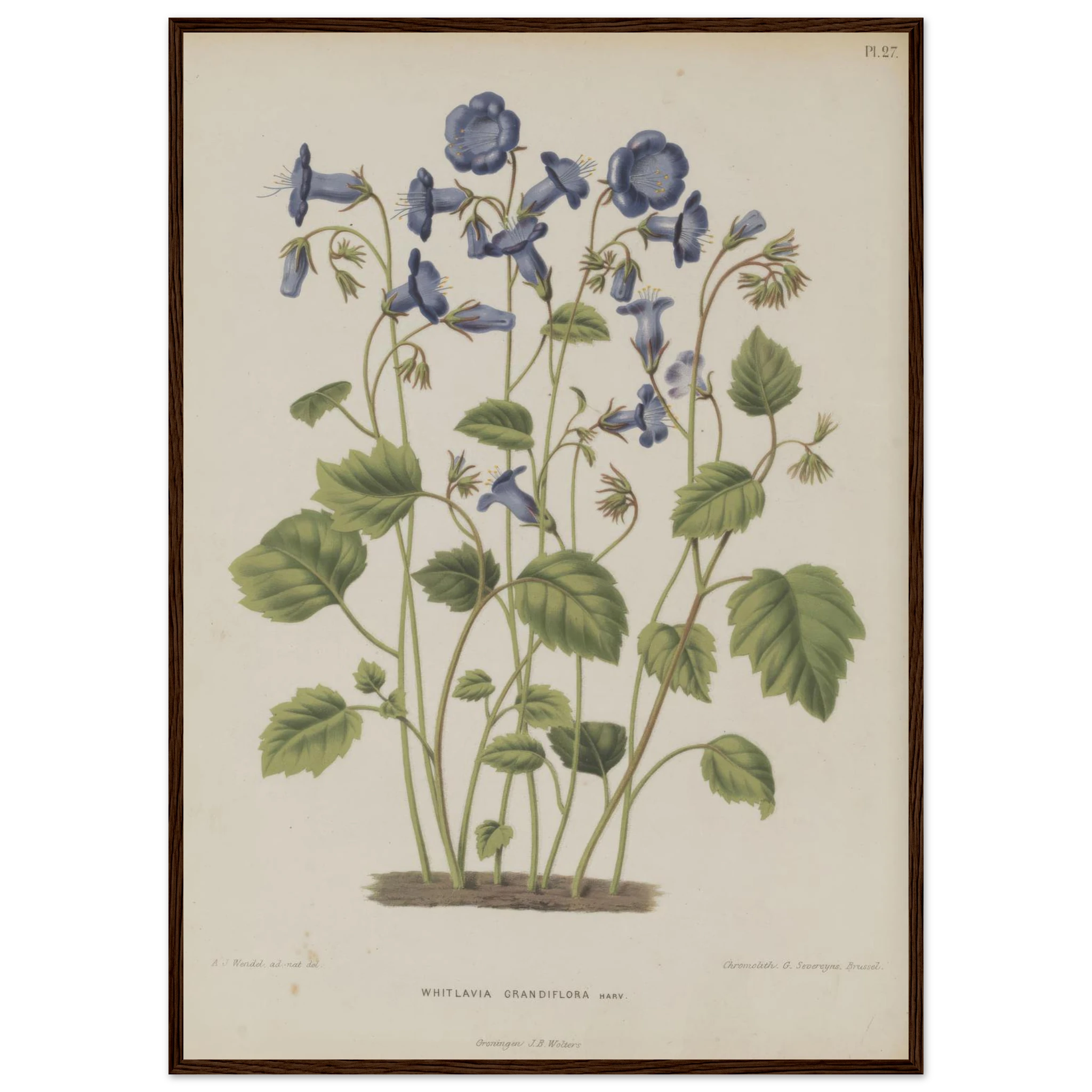 41465a87-5359-463d-8a39-623a1d56b025