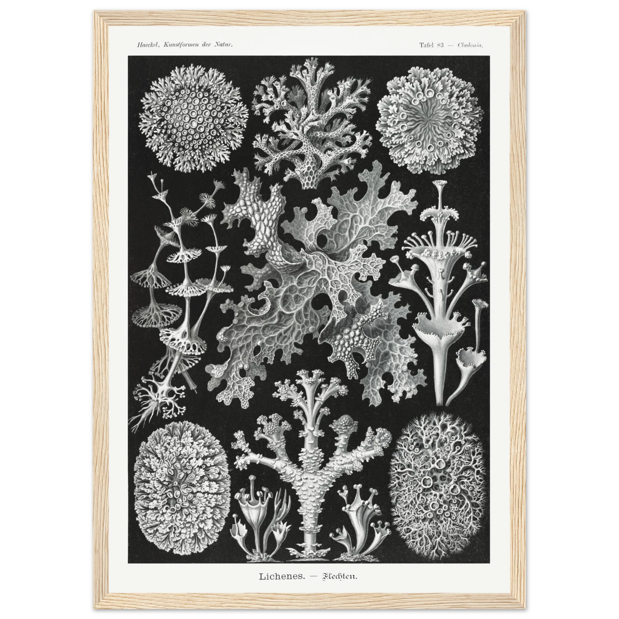 419ffed4-3650-444b-8a24-53702e40b125