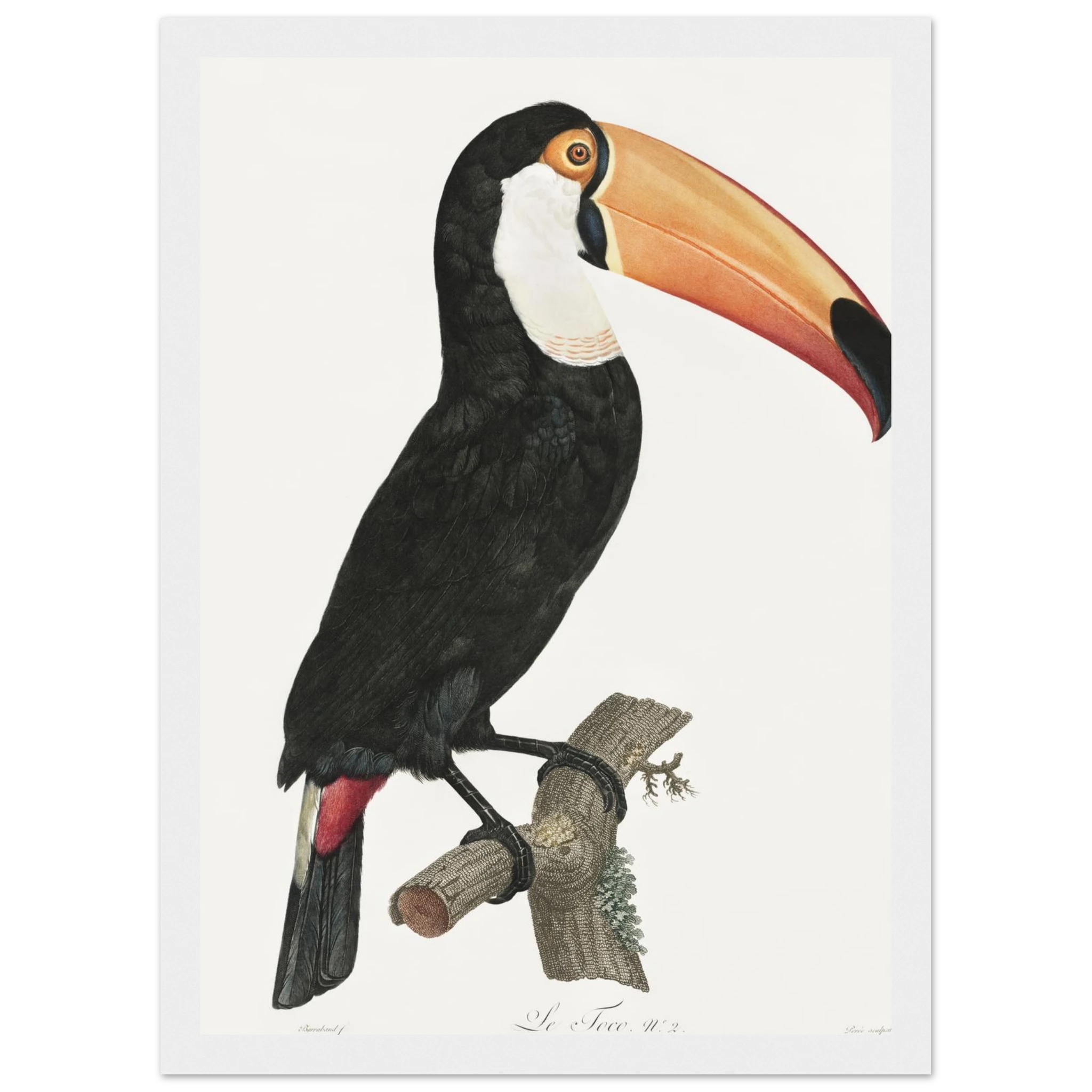 41fbd5fc-425f-428a-87e8-9bff3b40ec6d