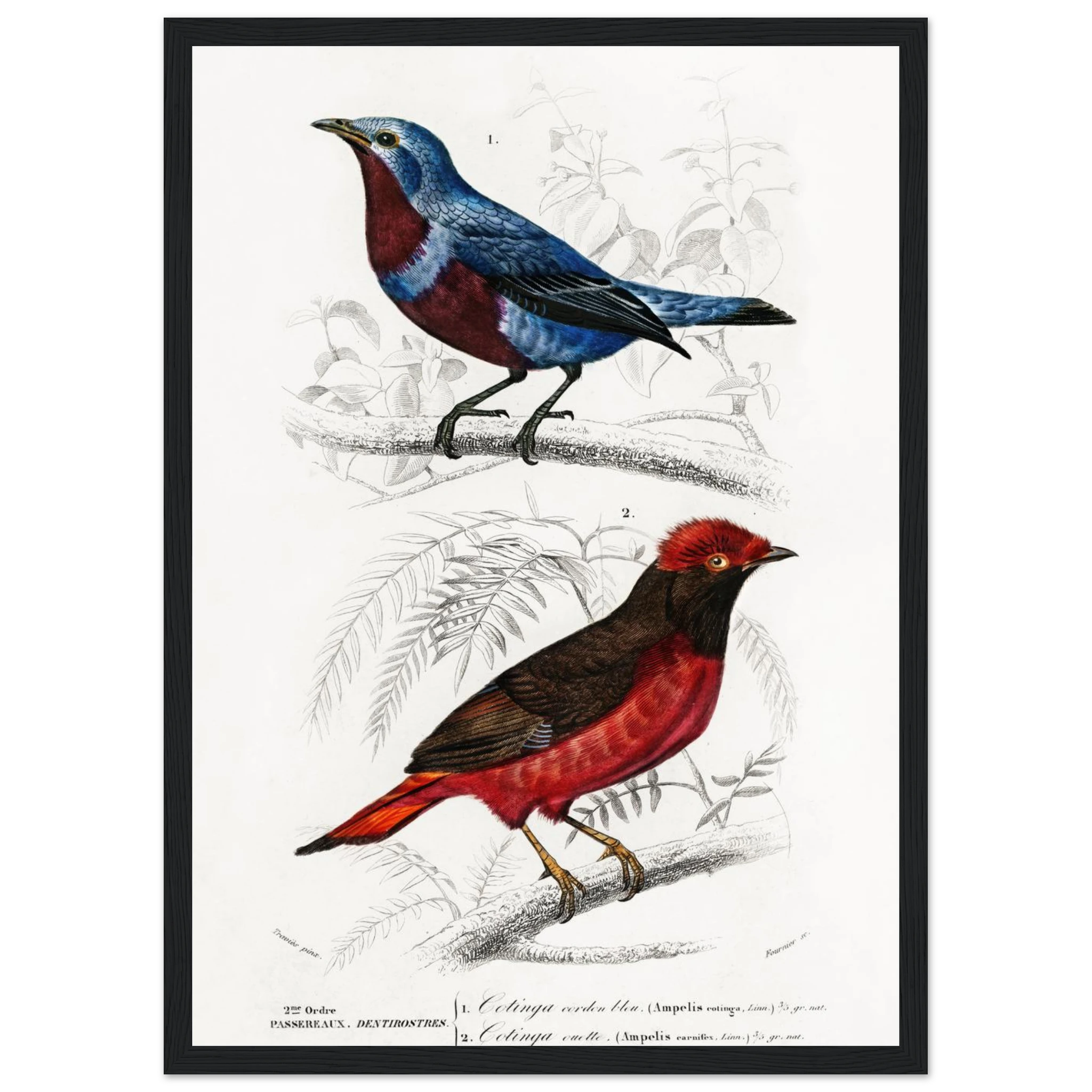 423a48dd-65a0-4e73-807b-04031431d07f