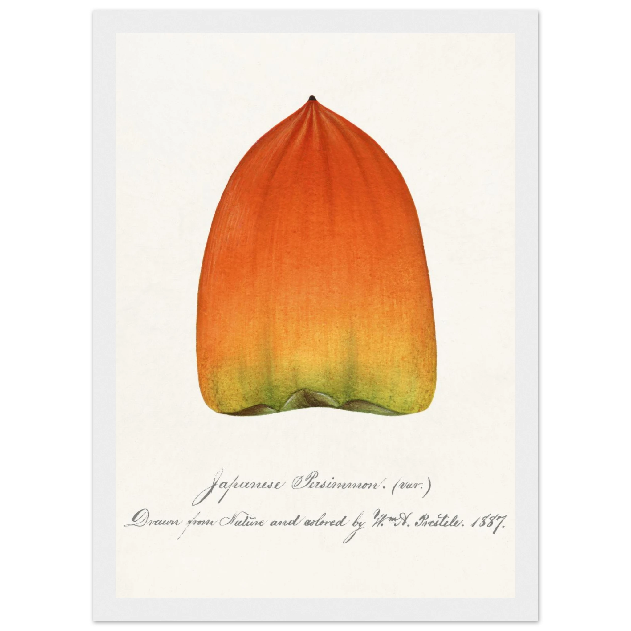 425e3da8-72f8-4aae-9a63-6e2bd1643952