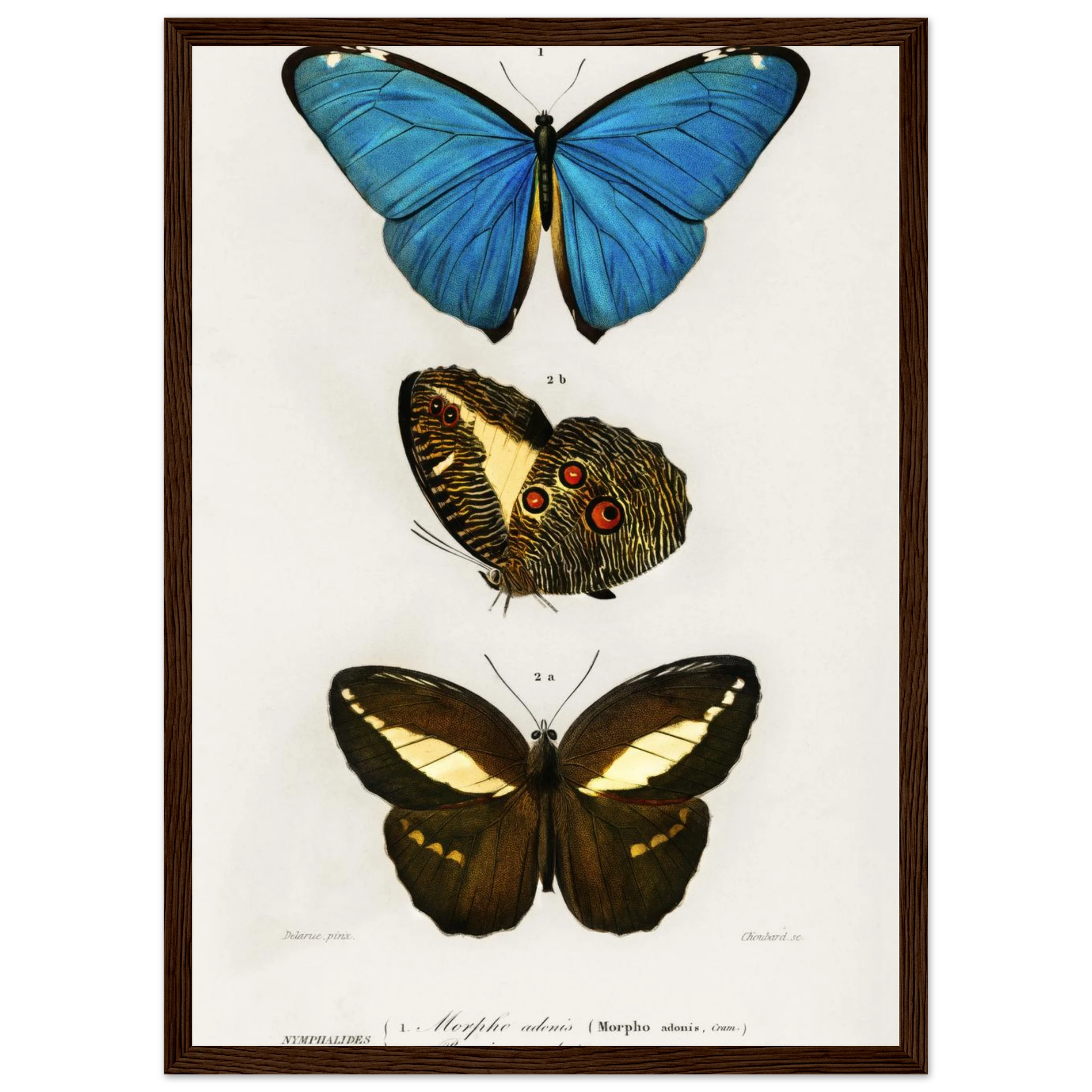 4269fe72-0205-41ee-9e09-315f8378c581