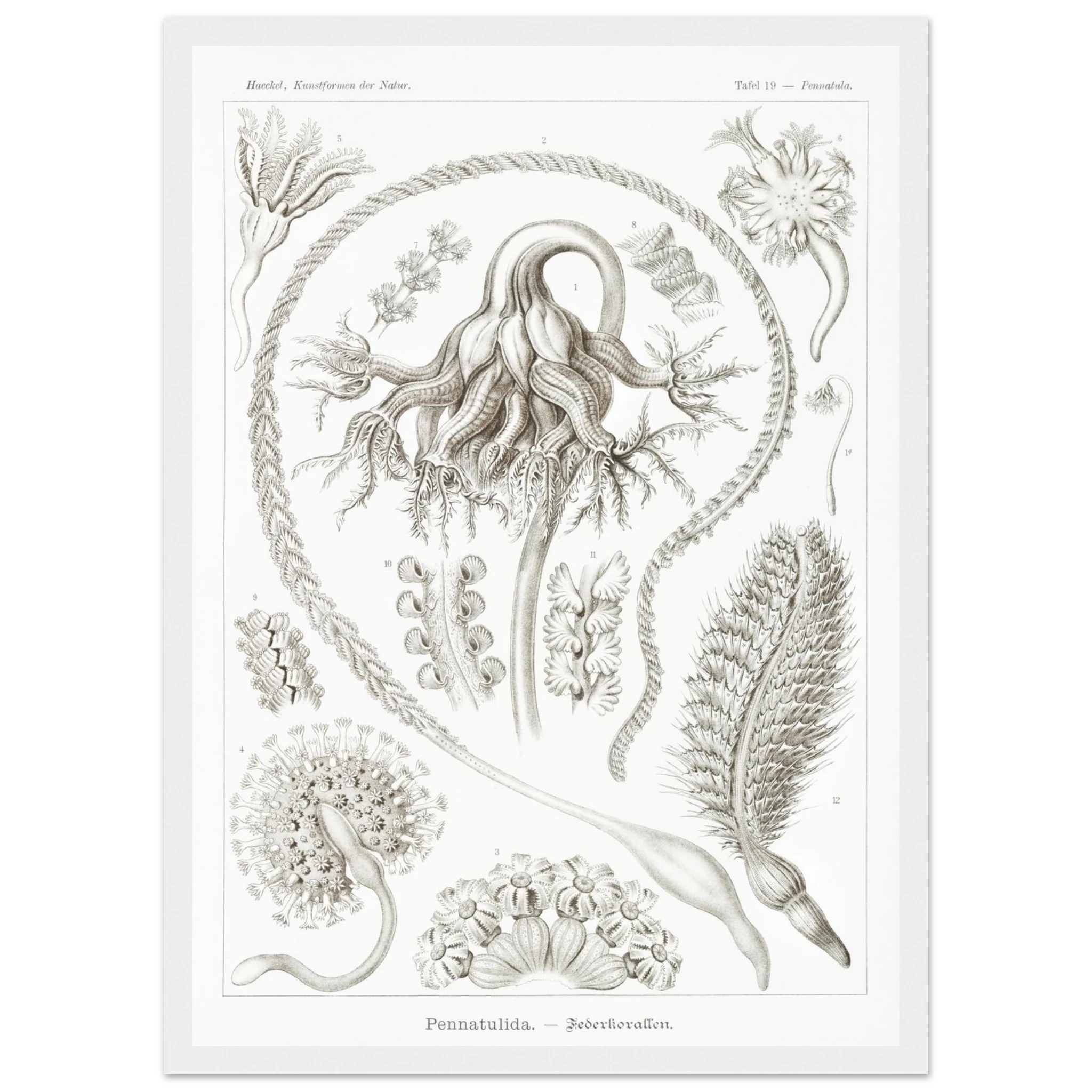 42962036-4750-4989-903e-8424f77c0f1f