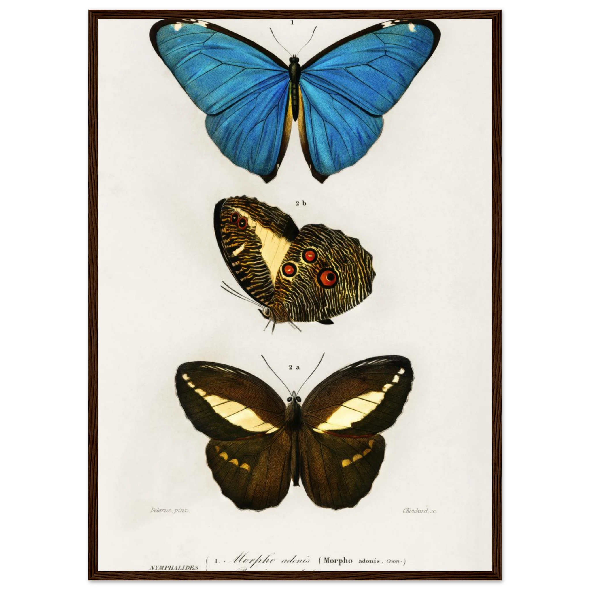 429ee52b-5d33-4b54-b389-2e81cbbccc17