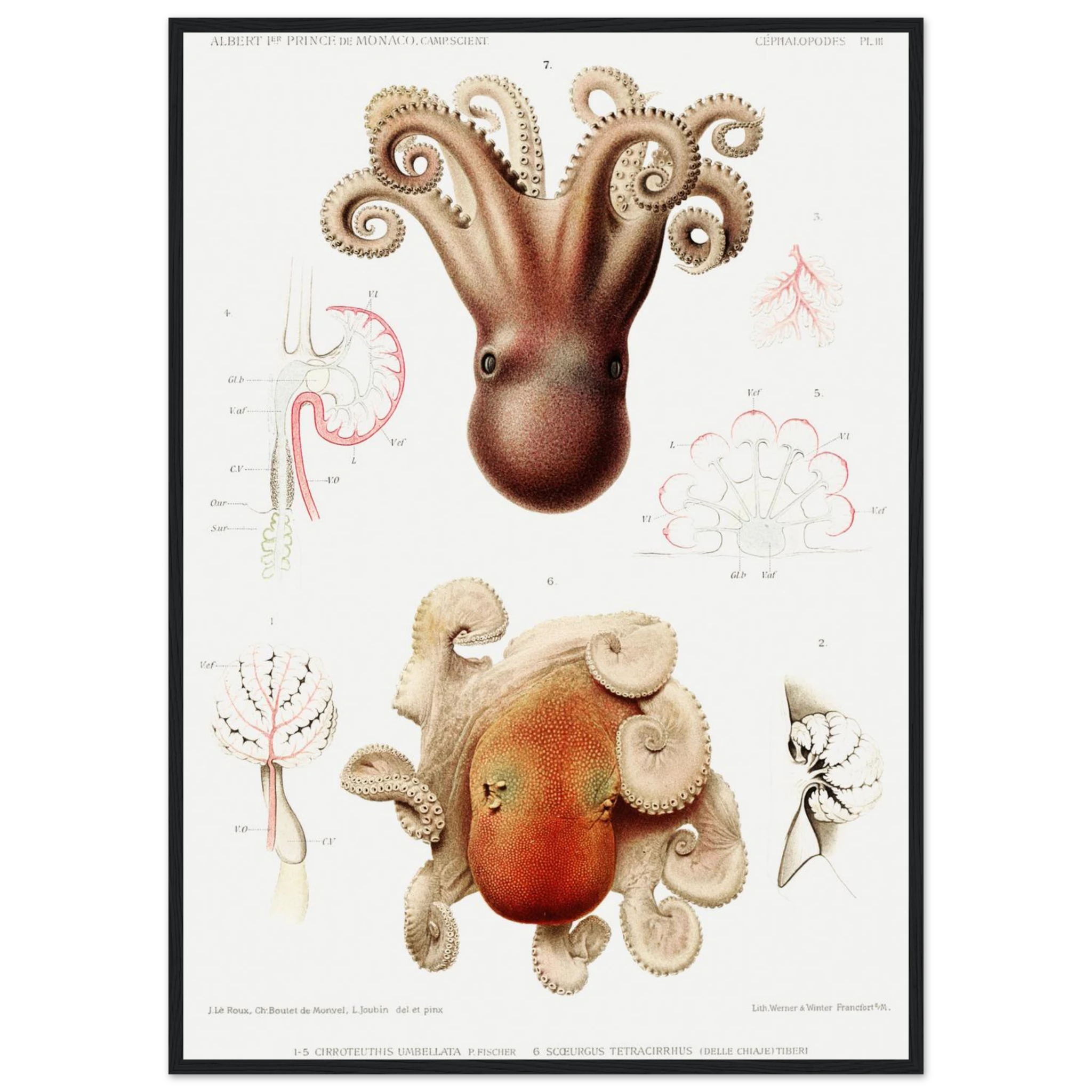 42a01766-851e-4162-a5e5-449c54a26247