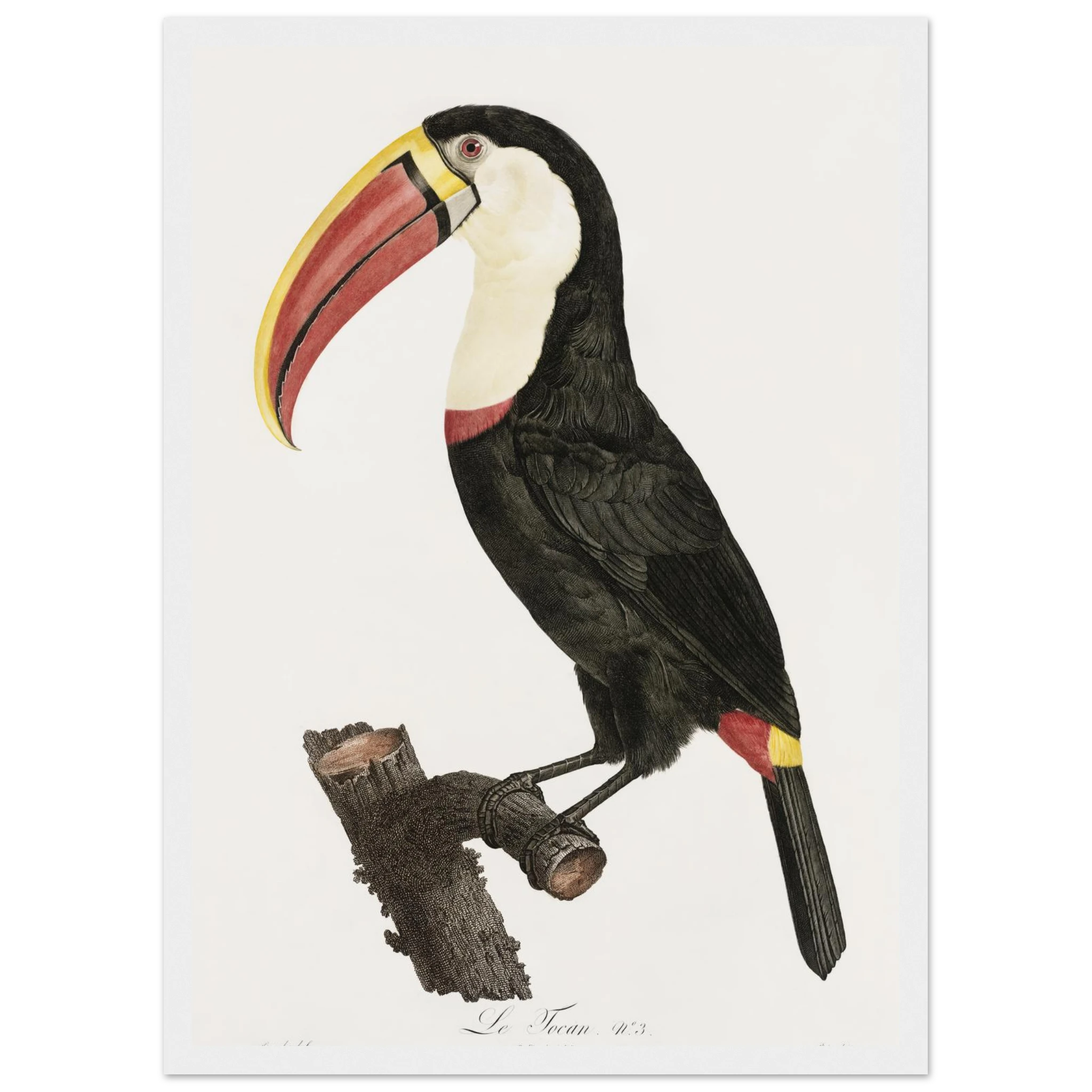 42a287cb-b107-4c97-b675-c4250e0f3b20