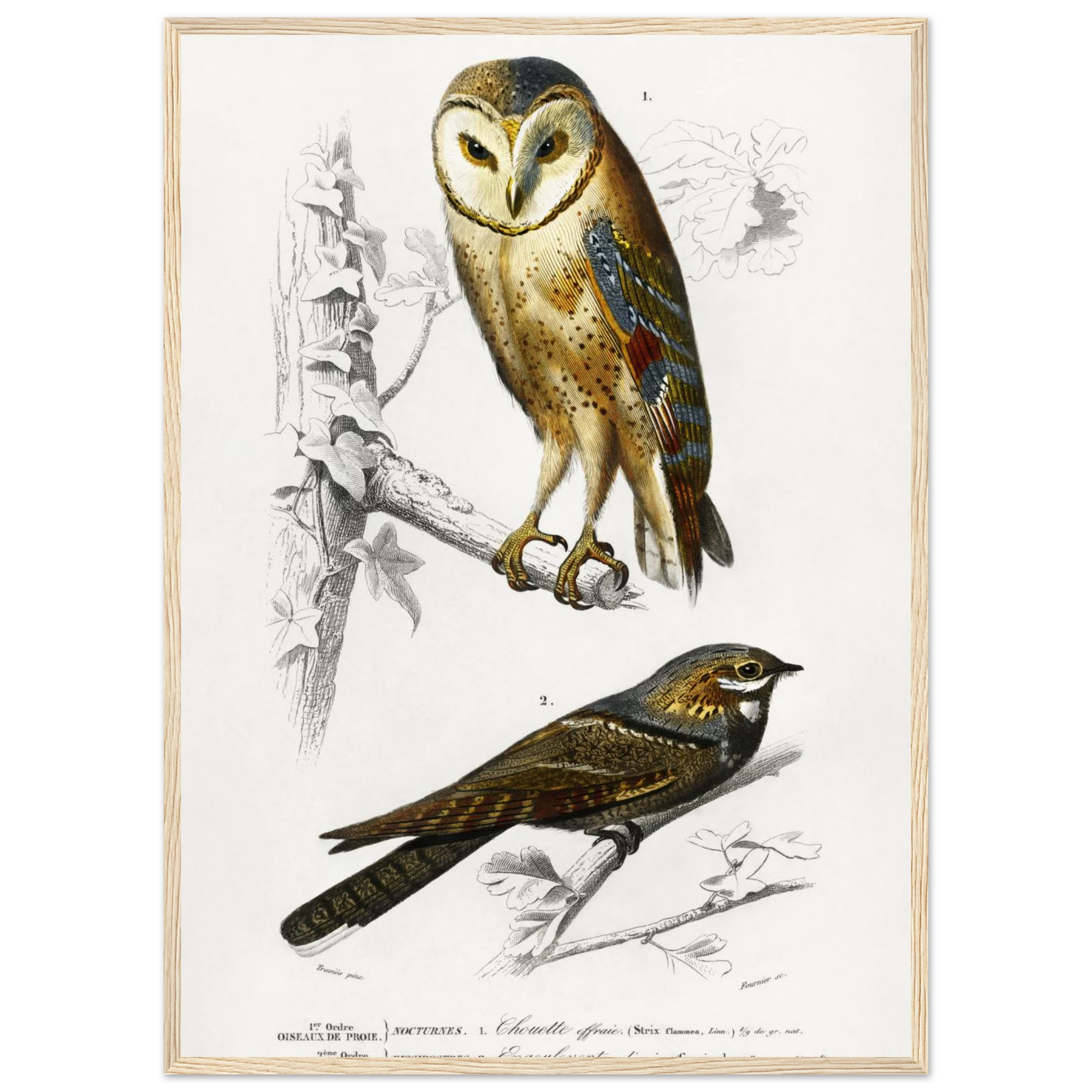 42b2f826-a8ae-4c40-b935-df8ab98c954b