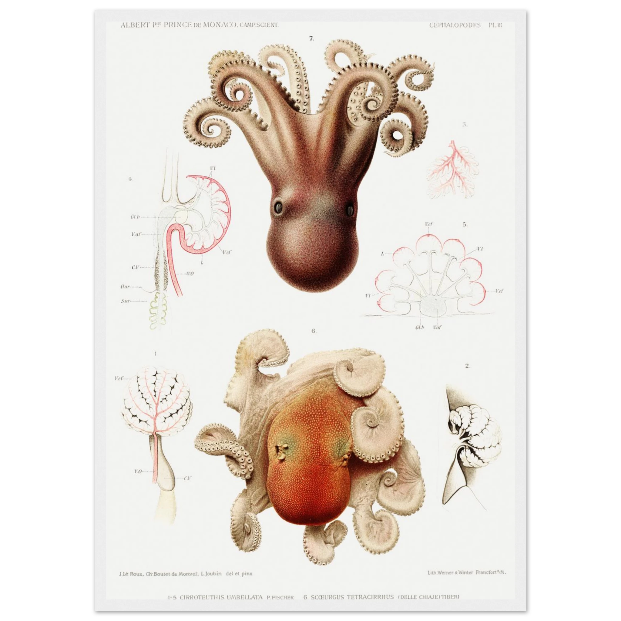 42cb493a-79a7-493a-8728-4ac4c728e7bb