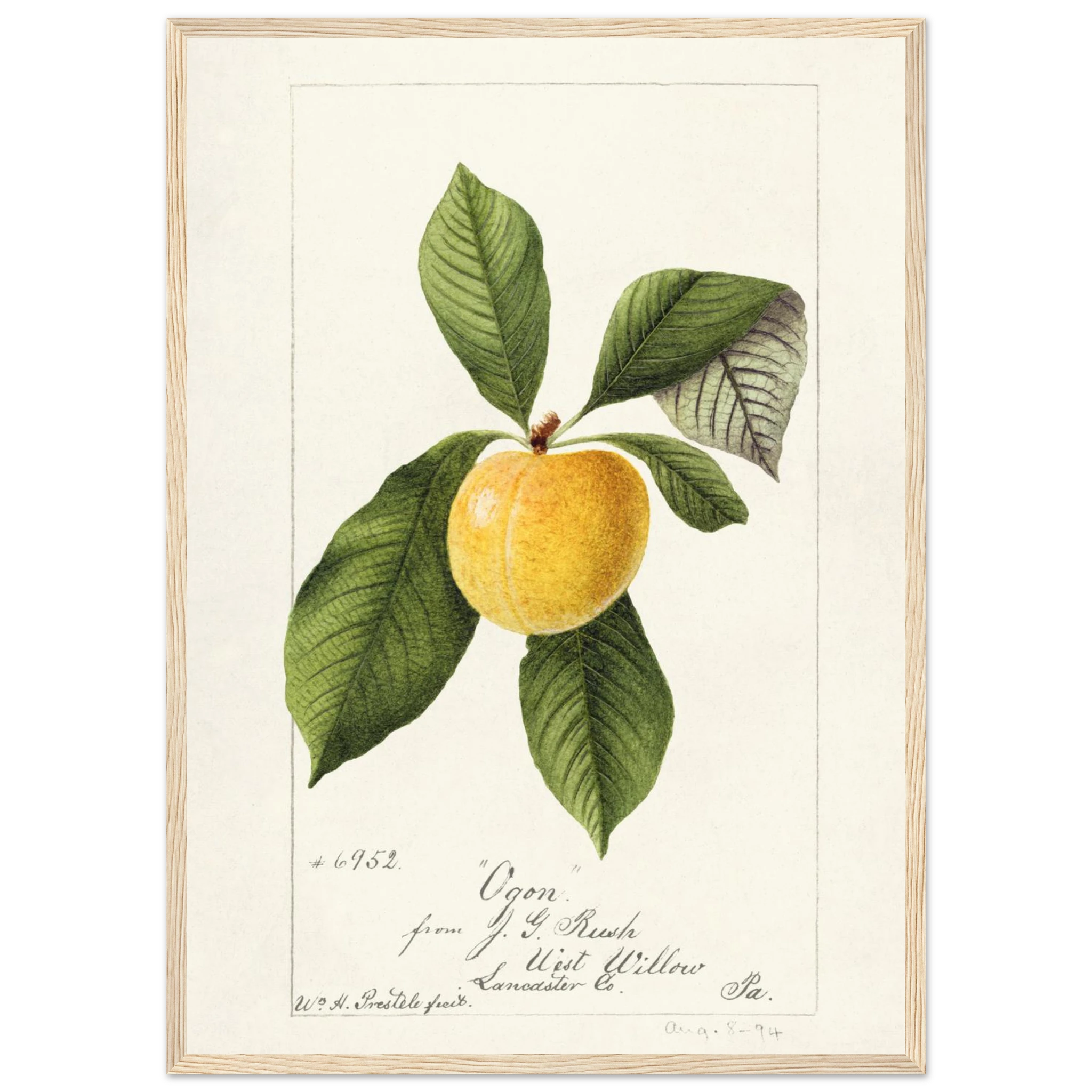 42cd6ab9-5ede-47a4-a746-17847de0e328