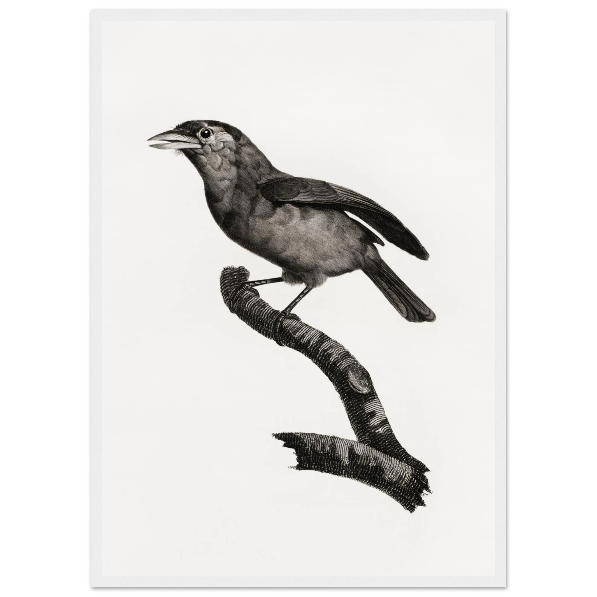 42fb983f-e2e8-4818-a272-69928569f9c8