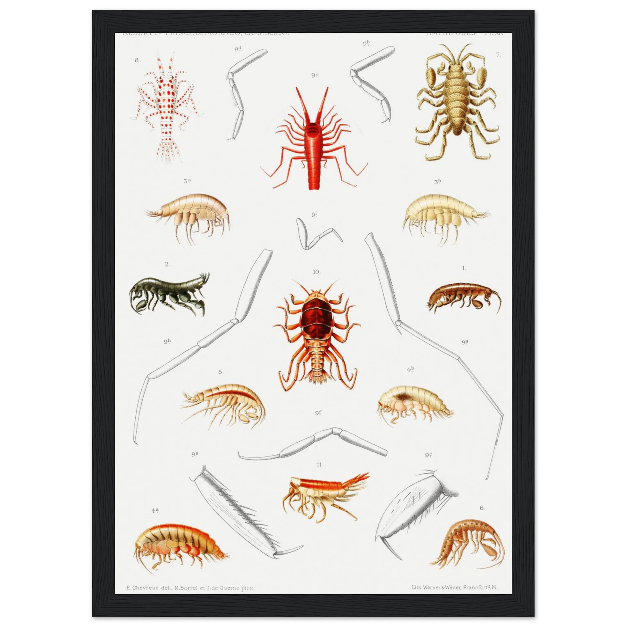 4307ed89-6adb-4099-a194-1f4254de96b2