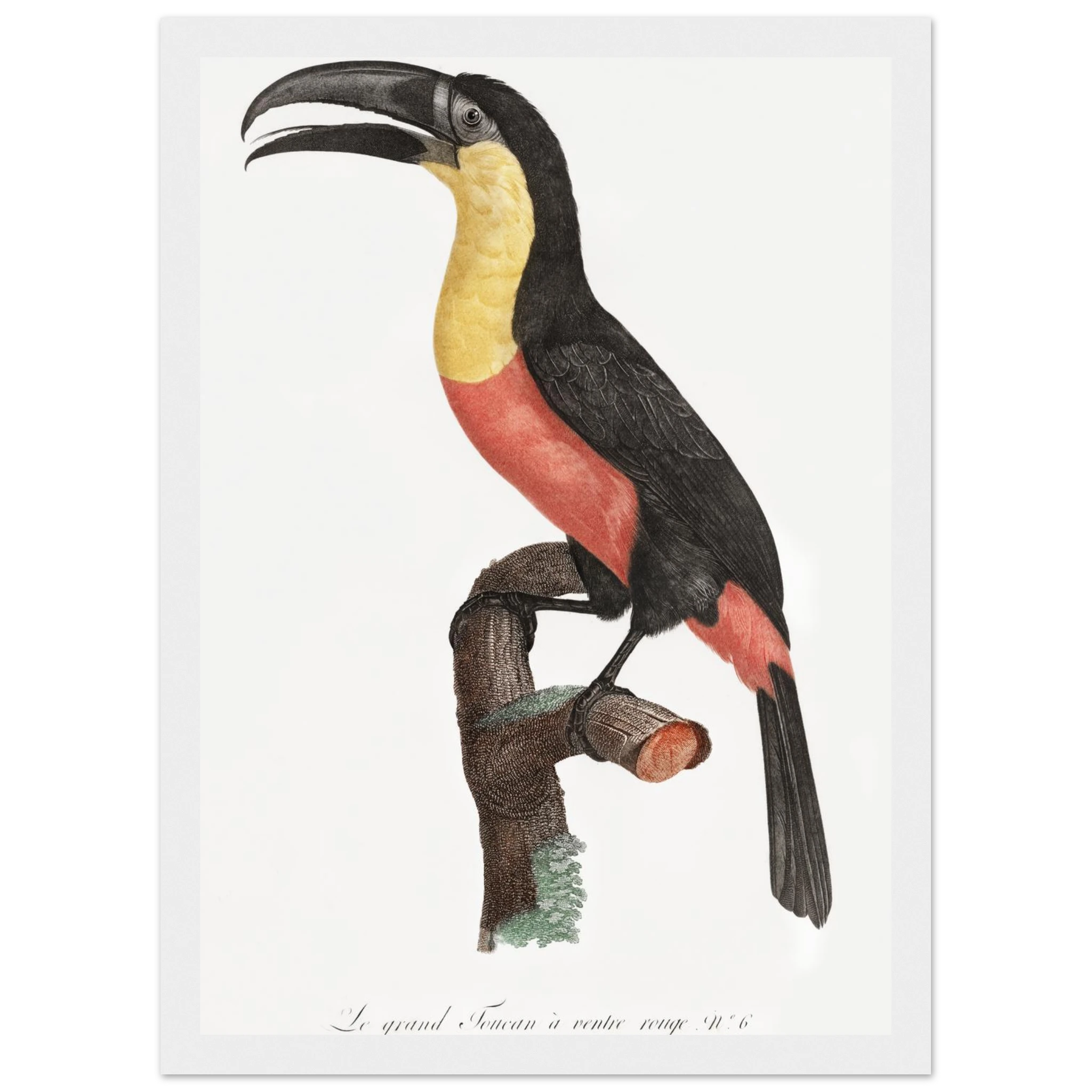 430e462c-623b-4205-931f-0eb50fbb361d