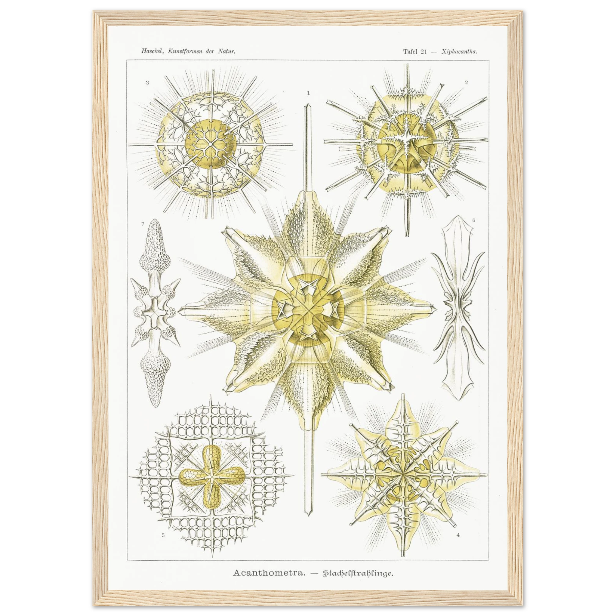 434692ca-0cde-4aa8-a918-354f48d2aca2