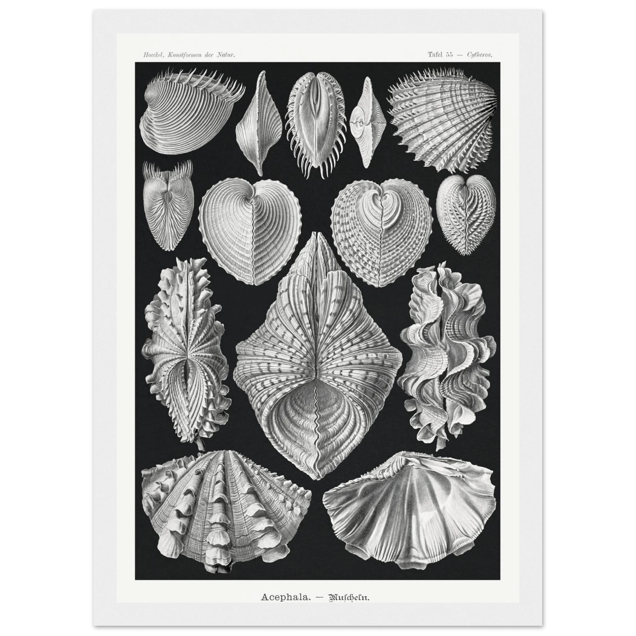 434b41cf-824c-47e2-9eed-d6983d4a53c9