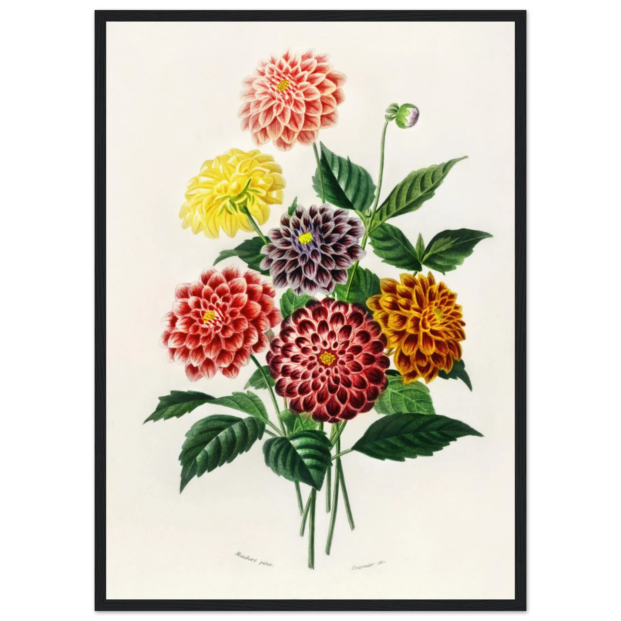 43596da0-042a-4292-a778-3acc84eaaf1e