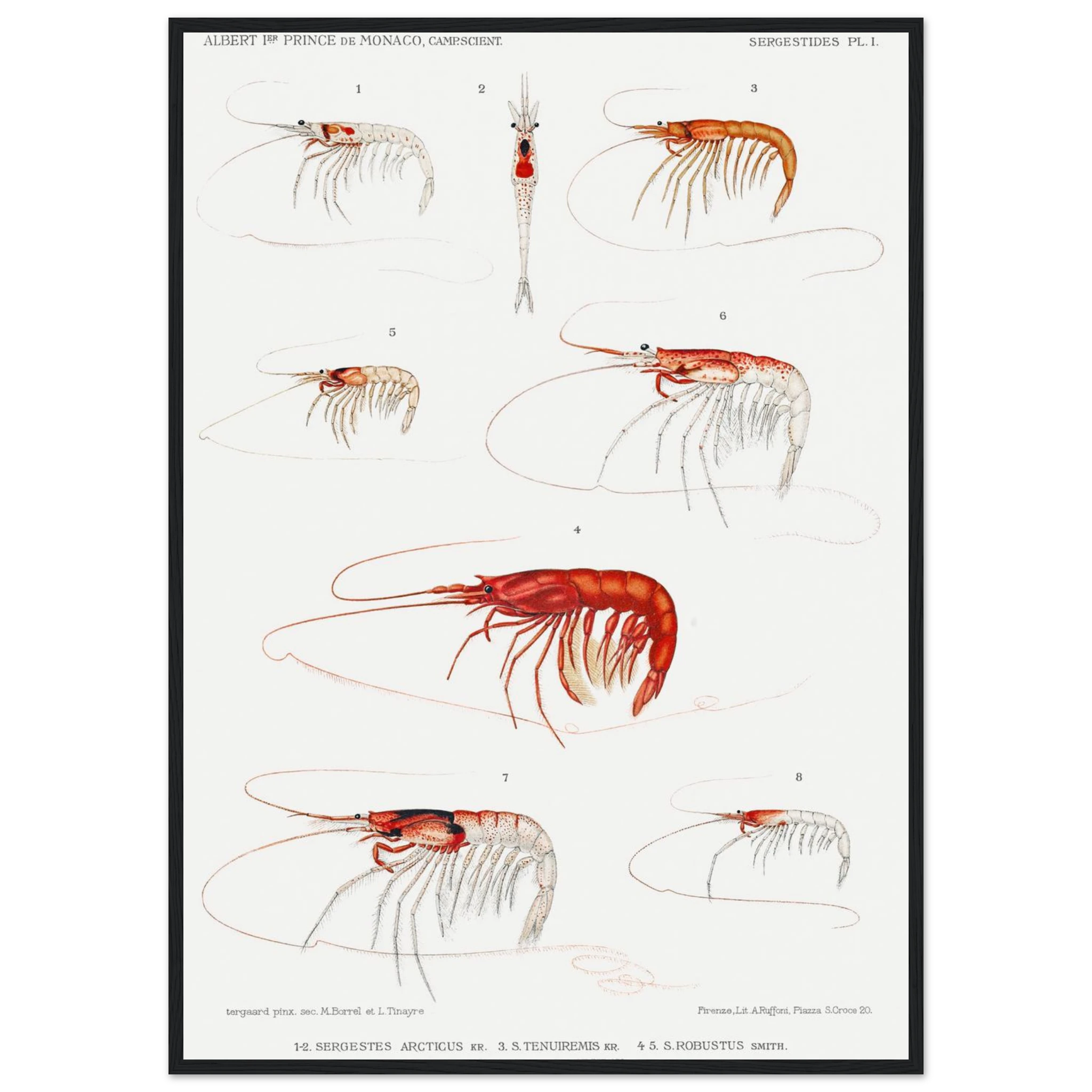 438c8f92-6728-4a46-a50d-c99a807e09cf