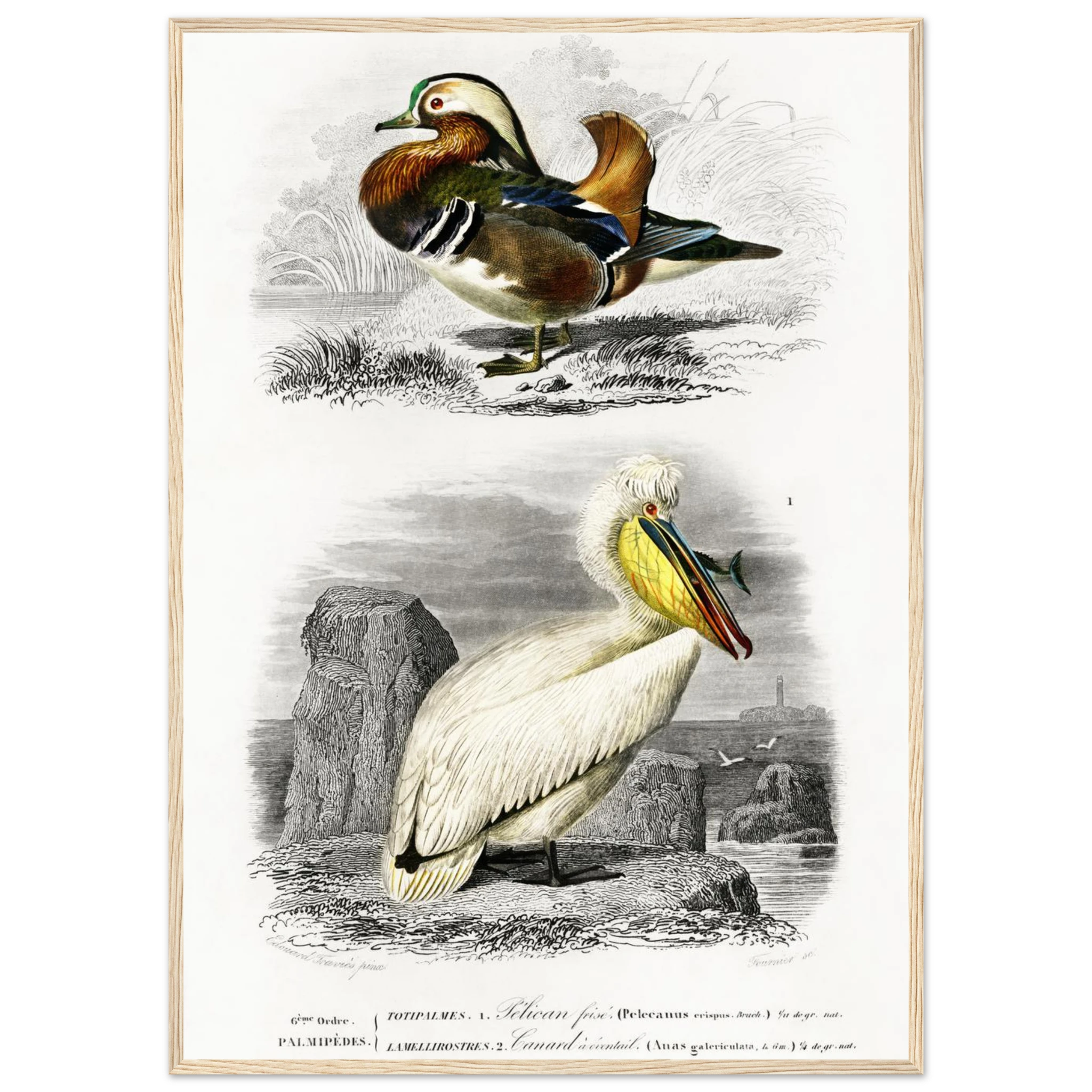 43a5b601-f135-44b5-8346-677d6dee1205