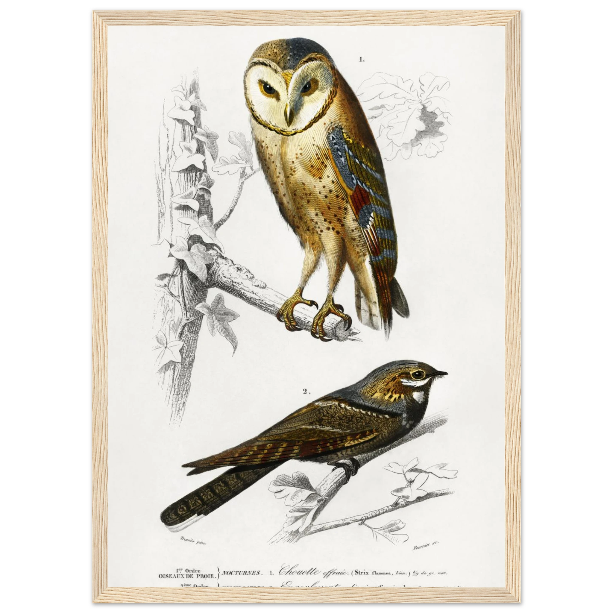 43d00248-5ff3-4c9f-8446-78b4506911ea