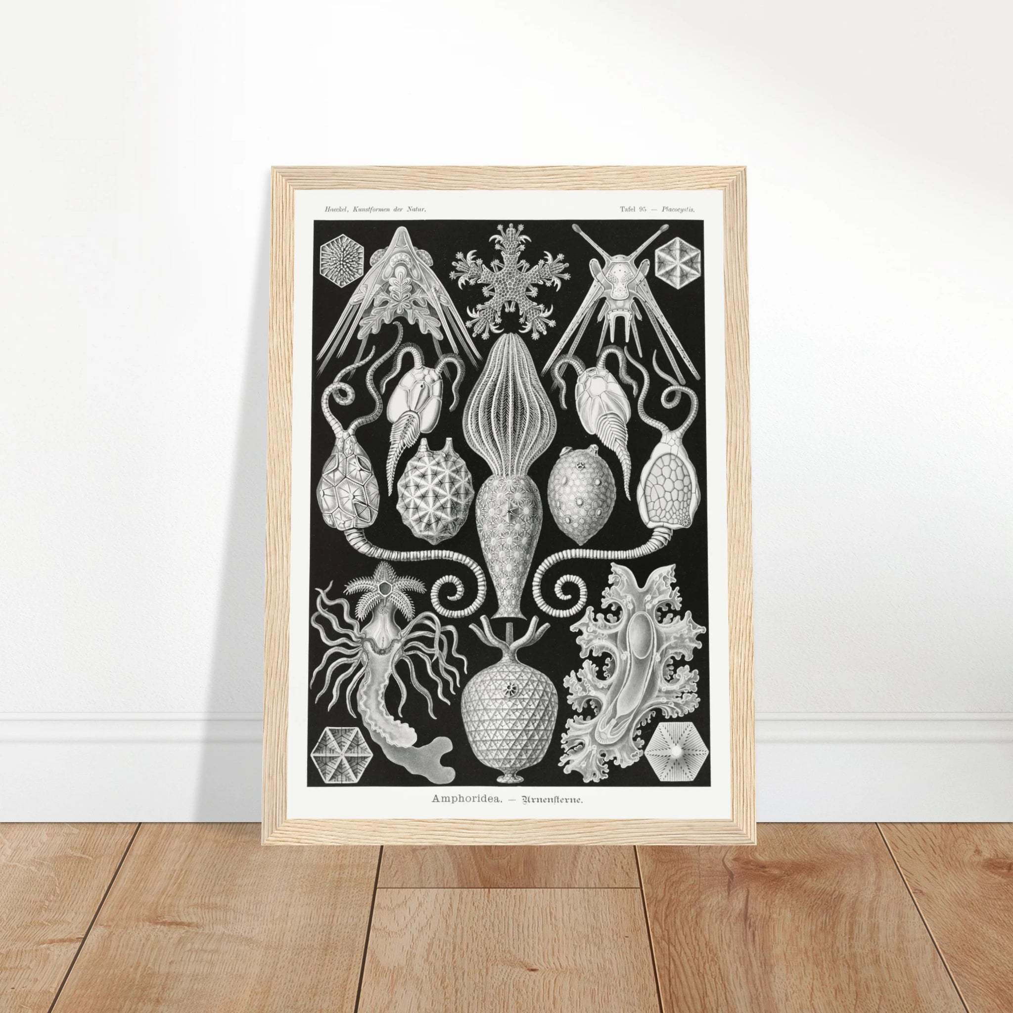 43feeee9-bbb4-4504-a3dd-6bdc86ccef2f