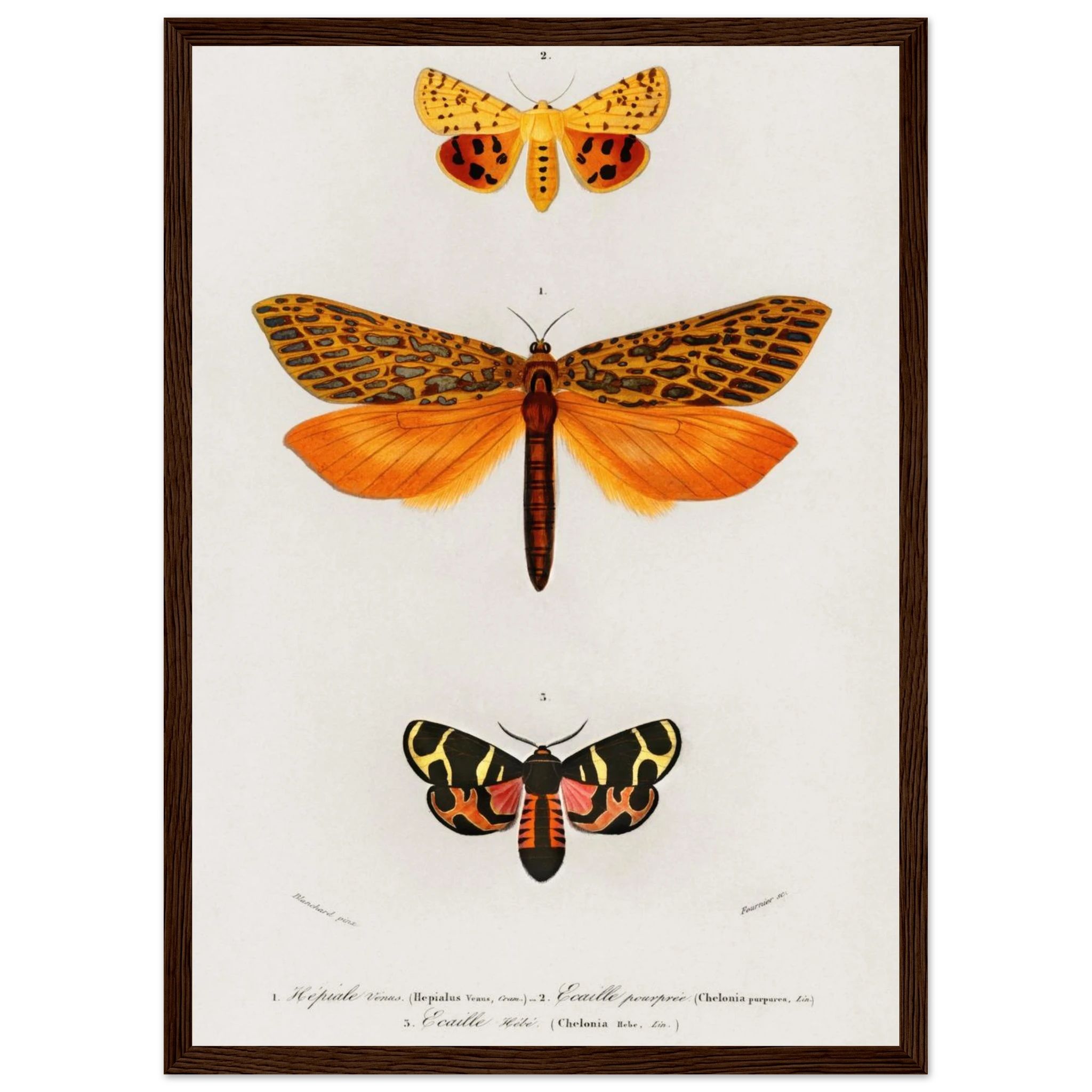 445fcc67-bbd6-49b5-b1a6-9d0bba0fb8a1