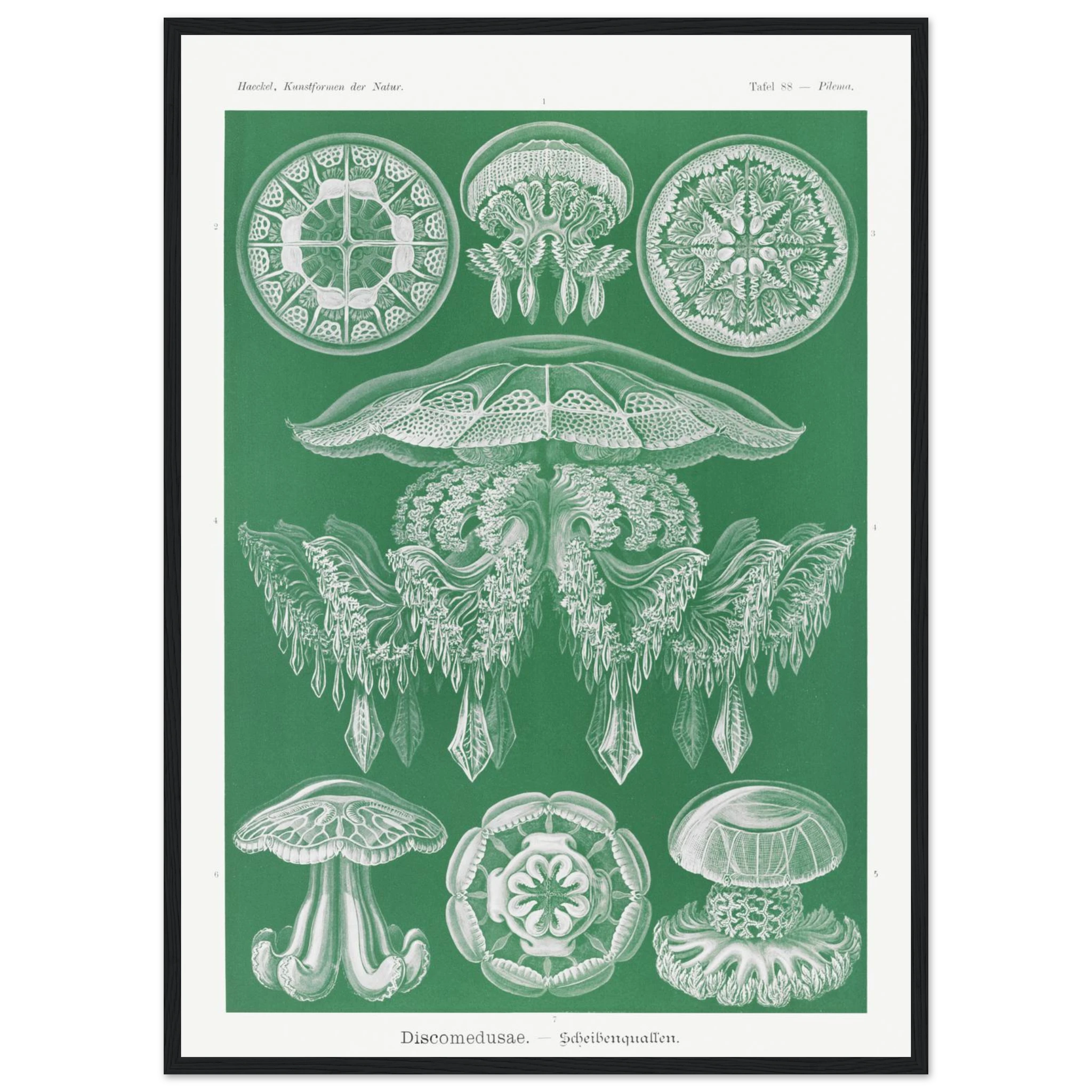 44b63f76-ca0f-4289-ba59-76d8fa8af9d2