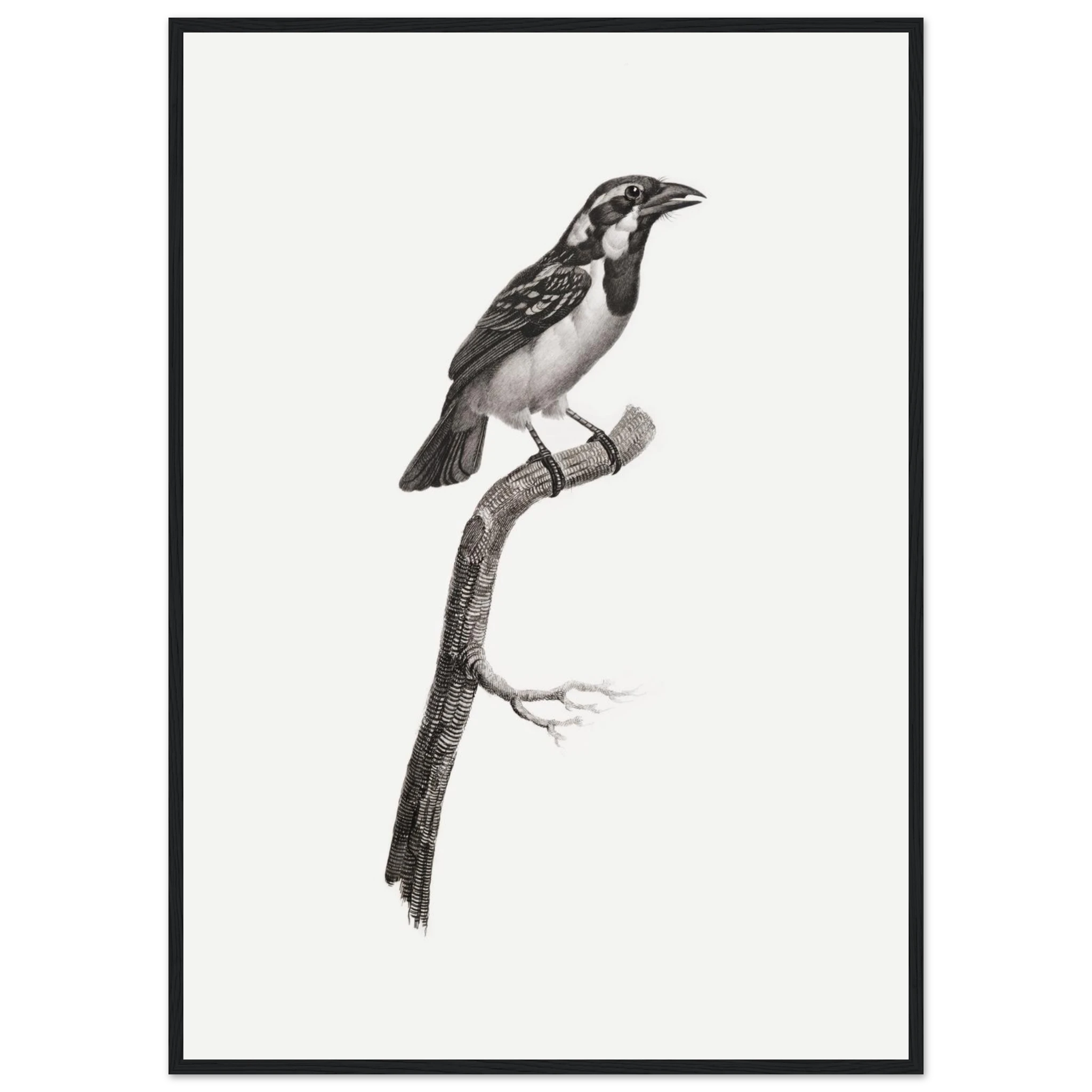 44ea6e4f-97b4-46c2-aeae-2cc38a767ede