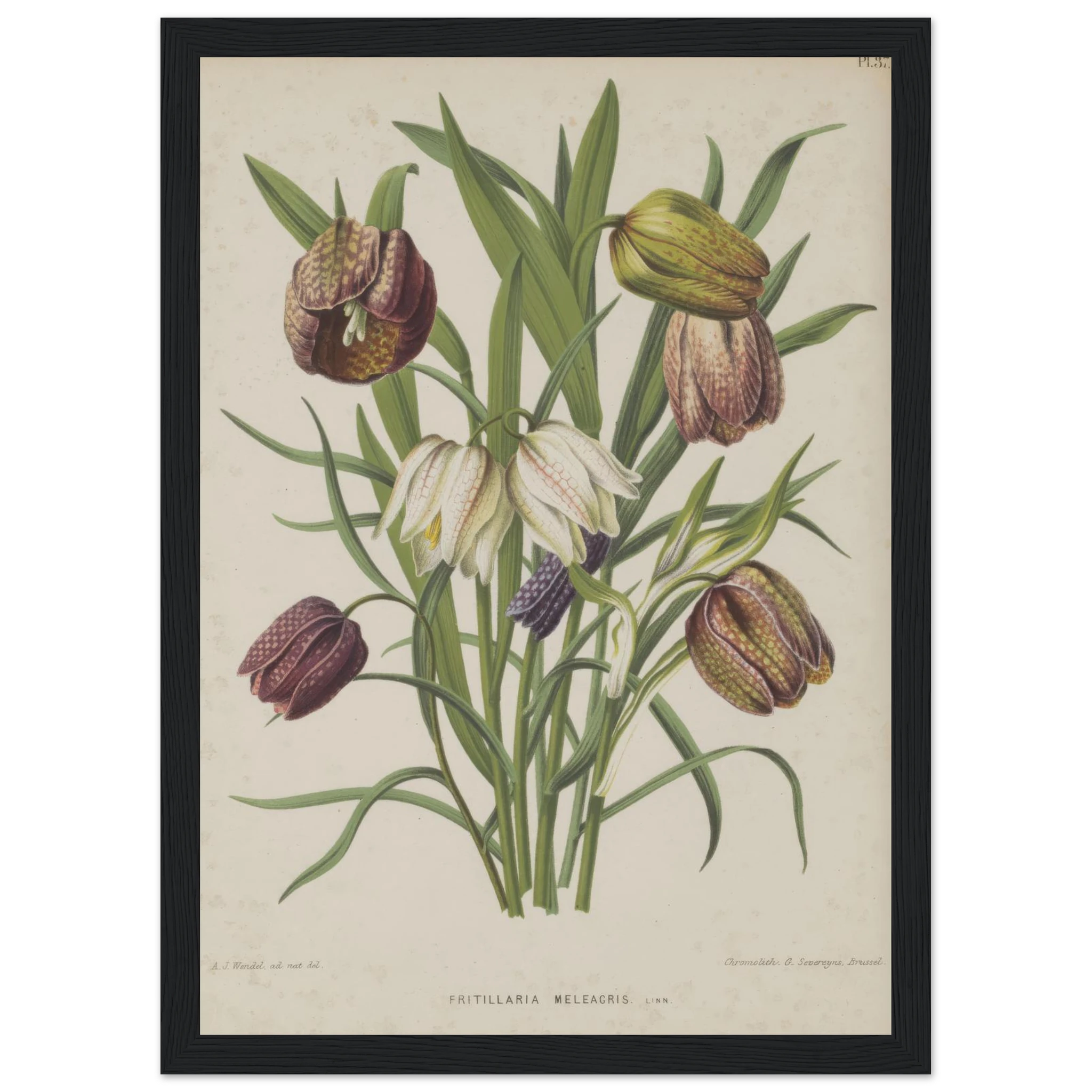 44fd0e1c-60d1-4209-8ce4-5308f6a241d2