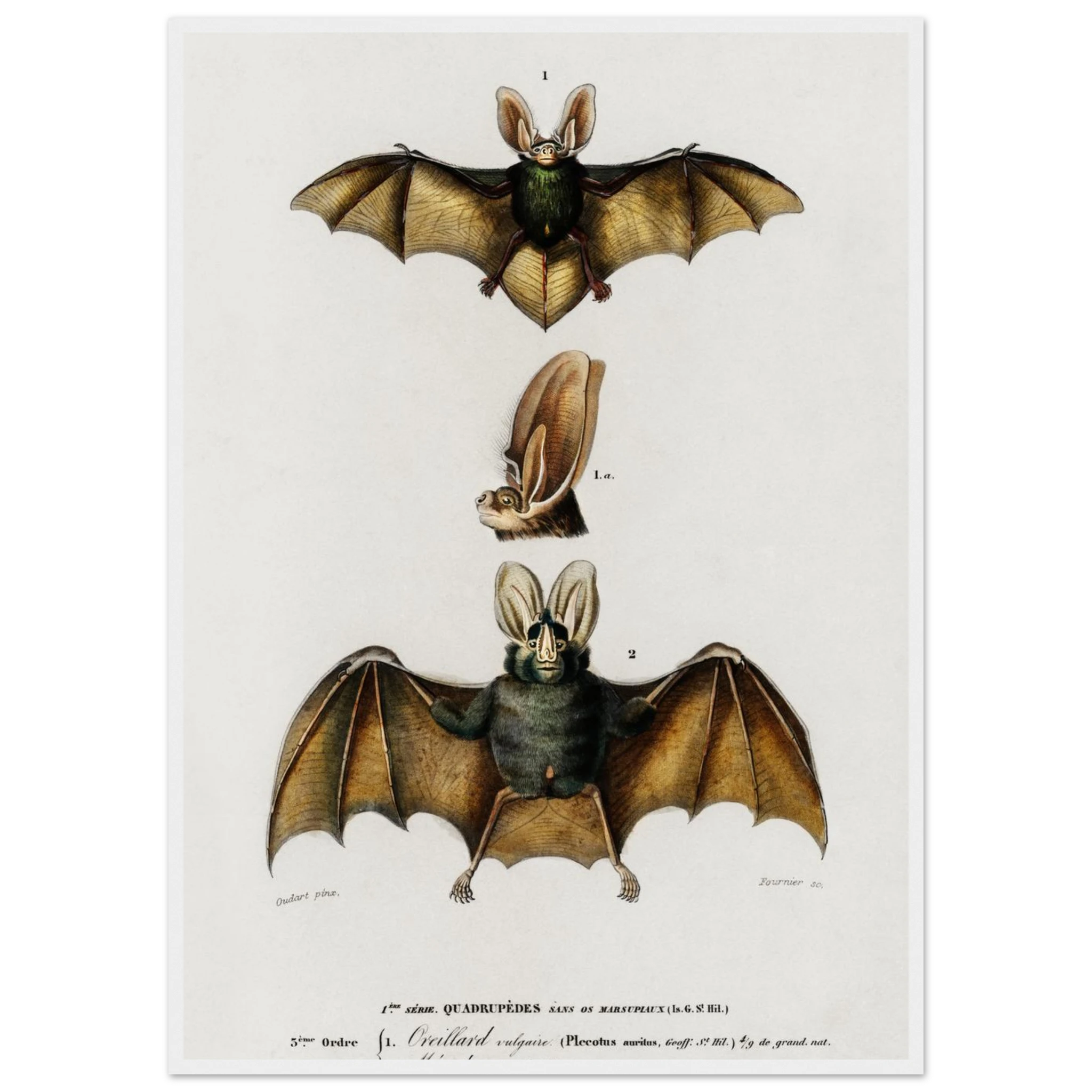 451ed27c-48c6-4551-b649-fe0e0a425064