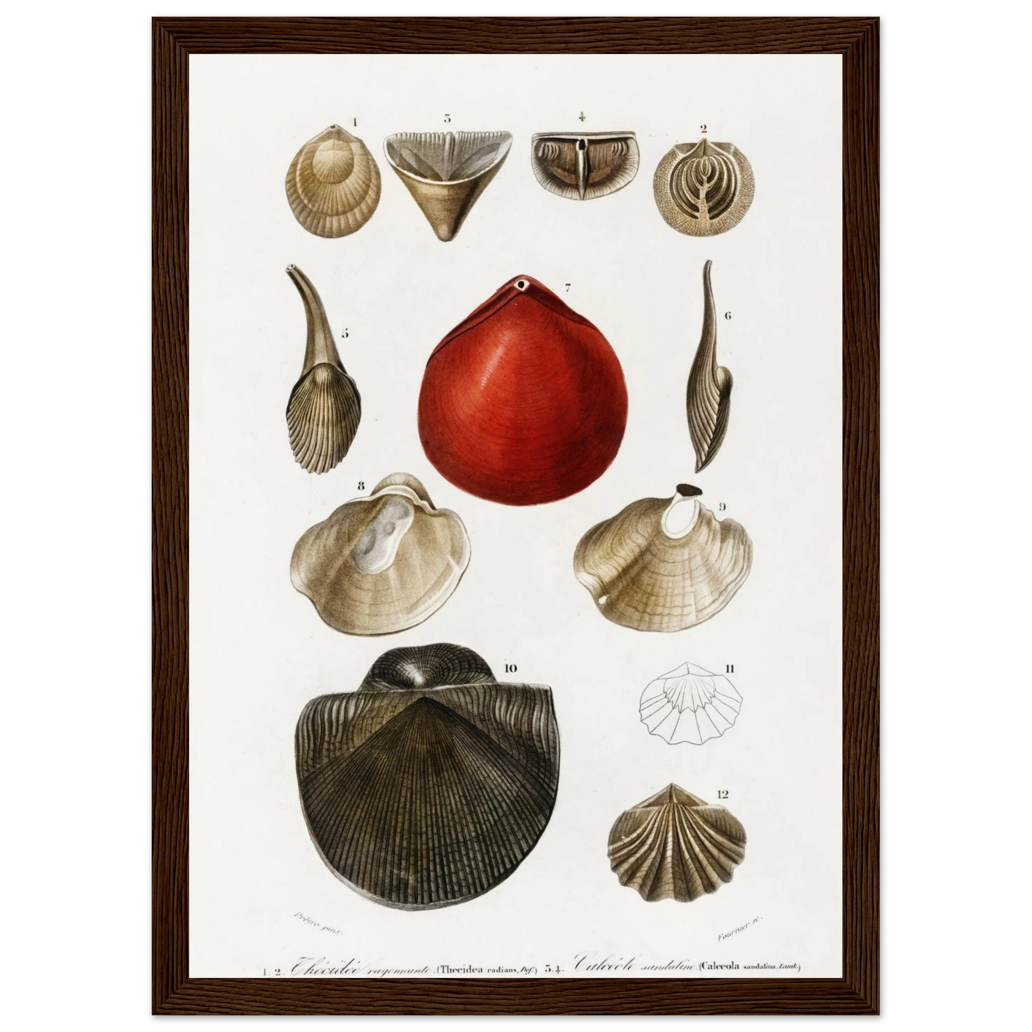 451fc6ba-275d-40b0-9a59-9a866958808e