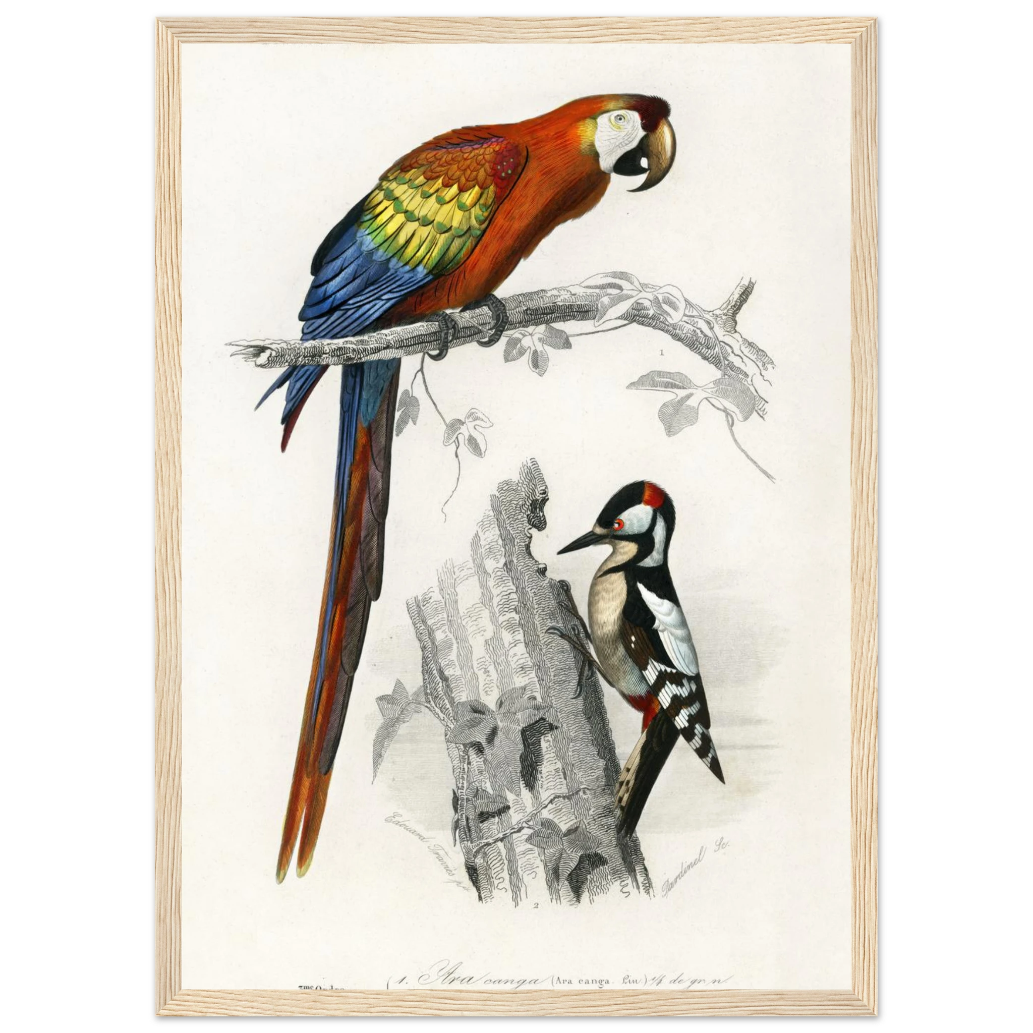 452cdfb1-bae1-46a9-83b0-886c340d81ad