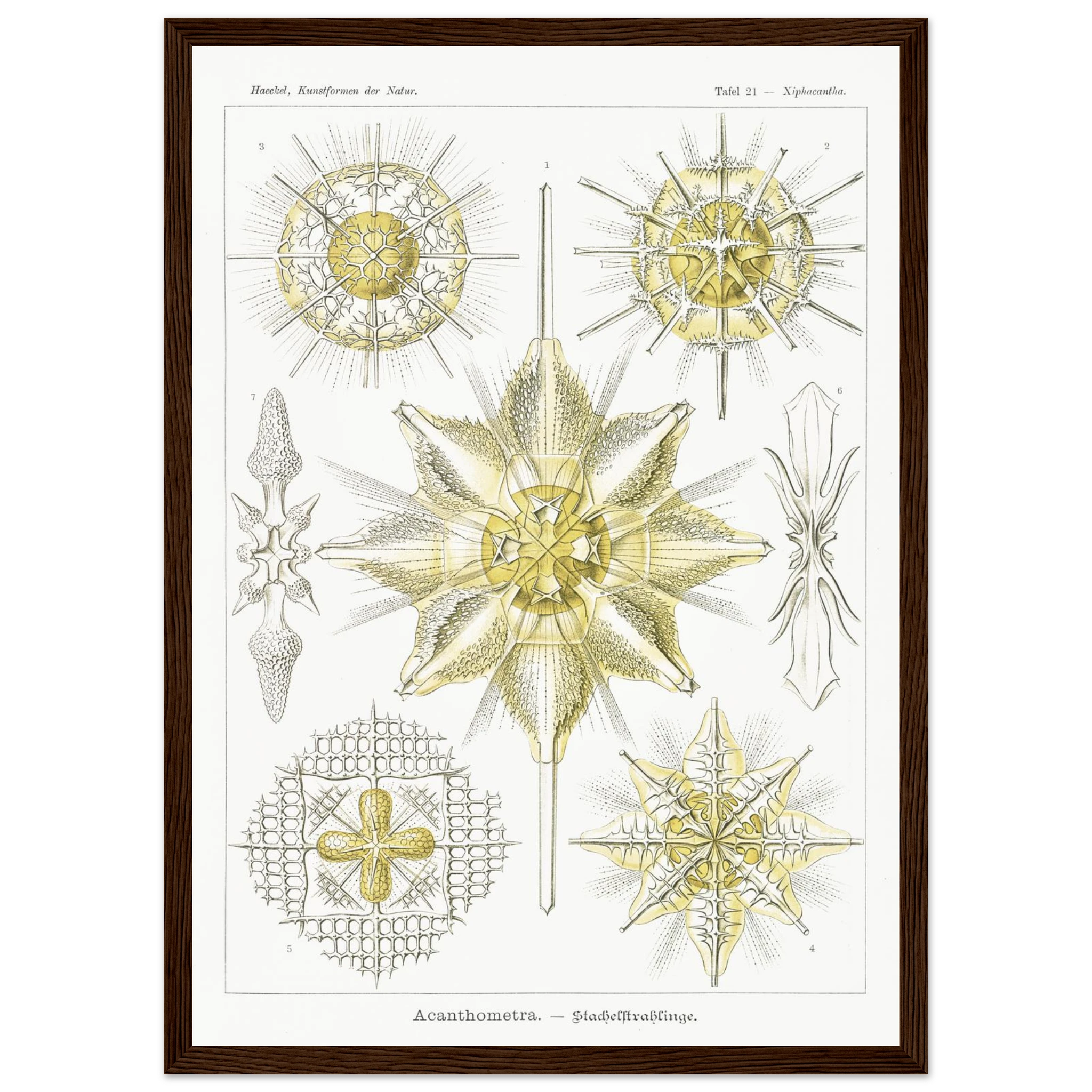 456a0ec3-c42c-4876-b5fa-789cf7dad858