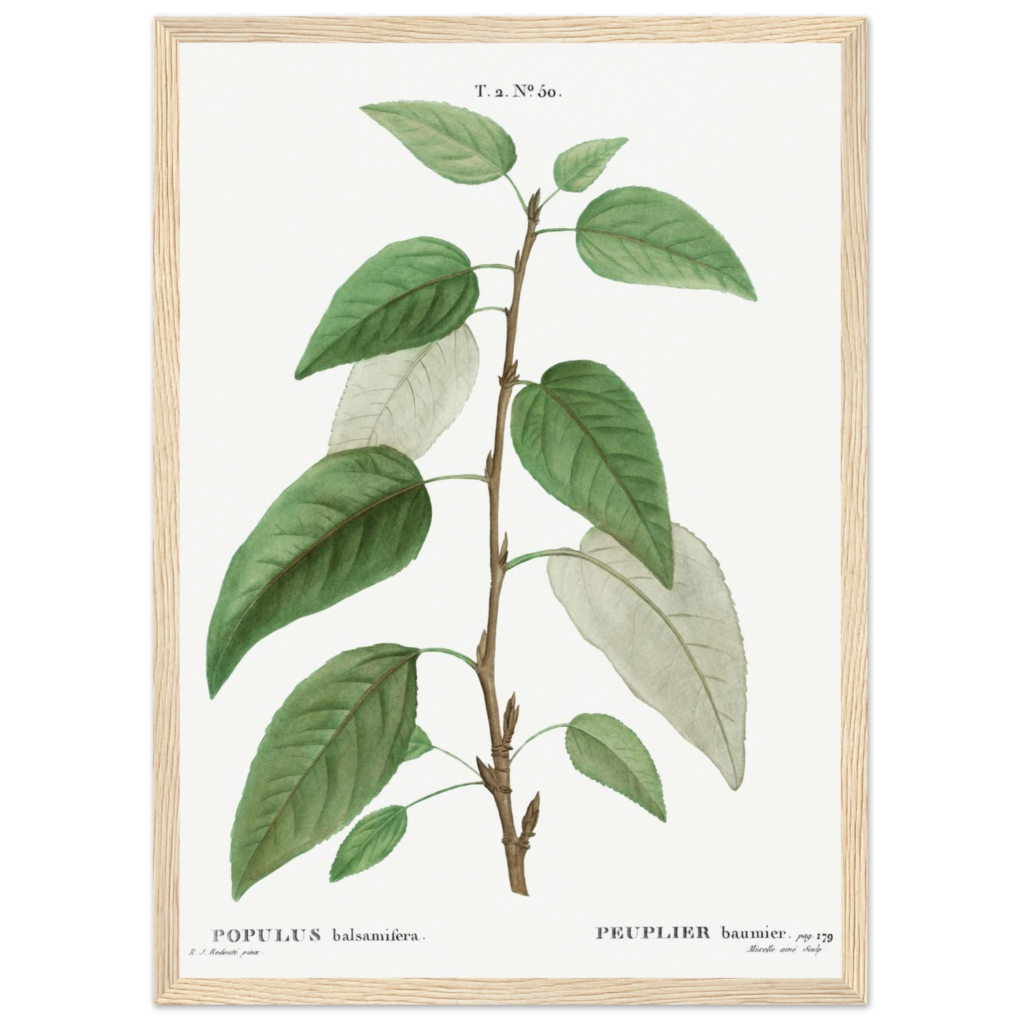 4583f42f-b4dd-4b98-be2d-bda48be579e4