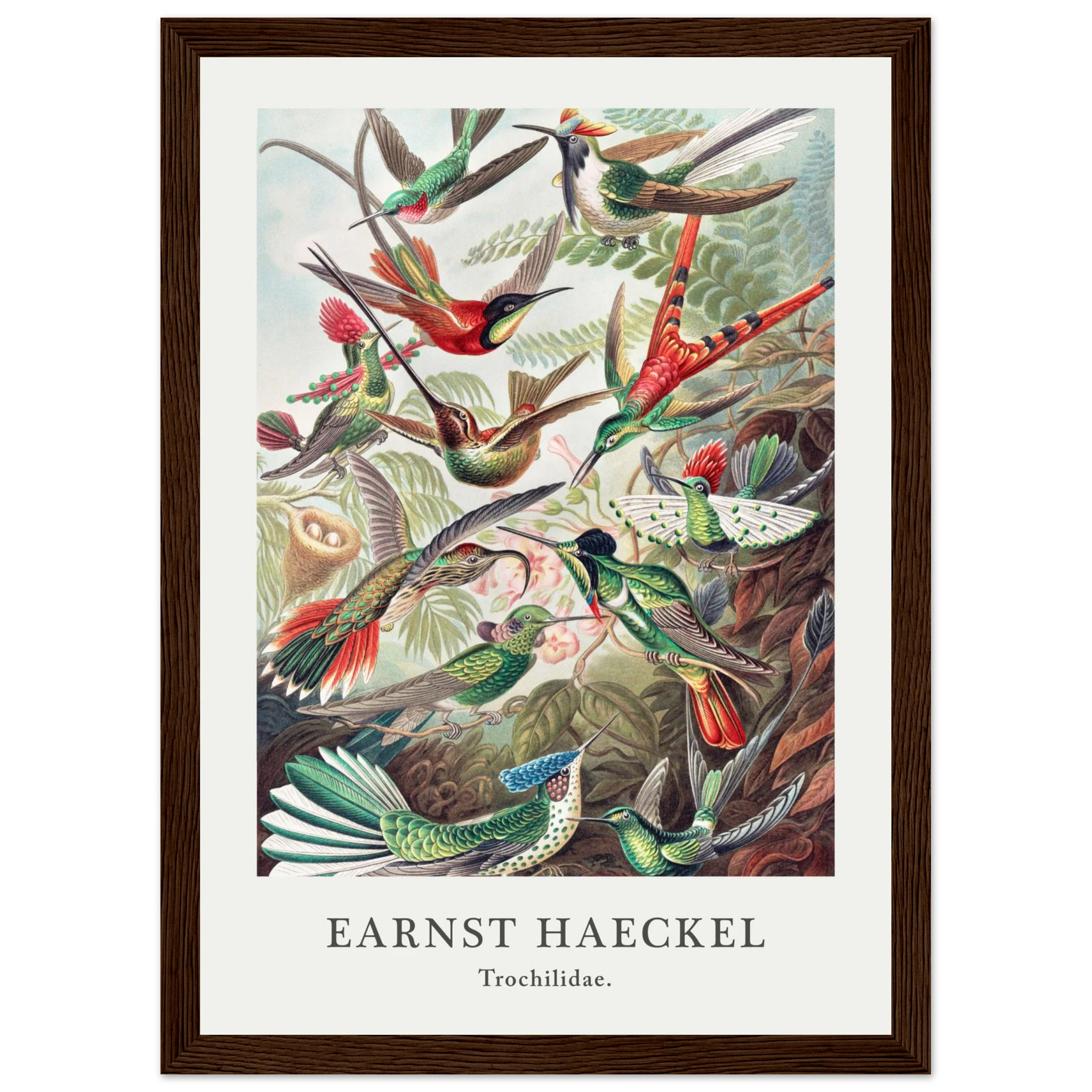 45852b84-d6b1-4272-8ab8-6c2bed2e8260