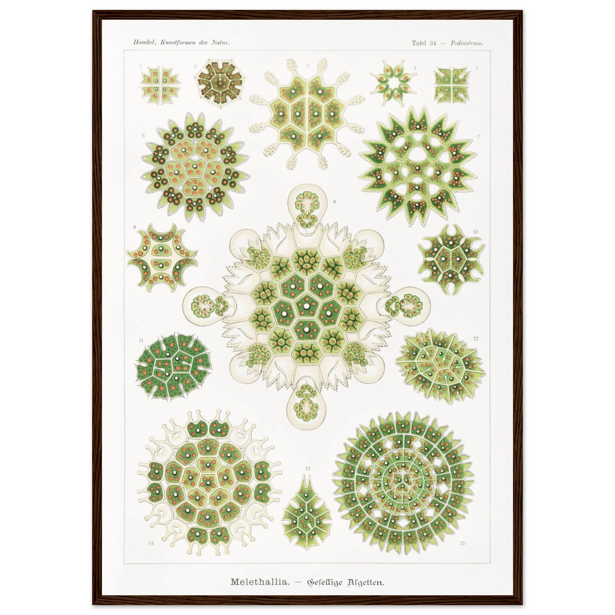 45a6961b-8e82-4146-81b0-ef29fcb038cd