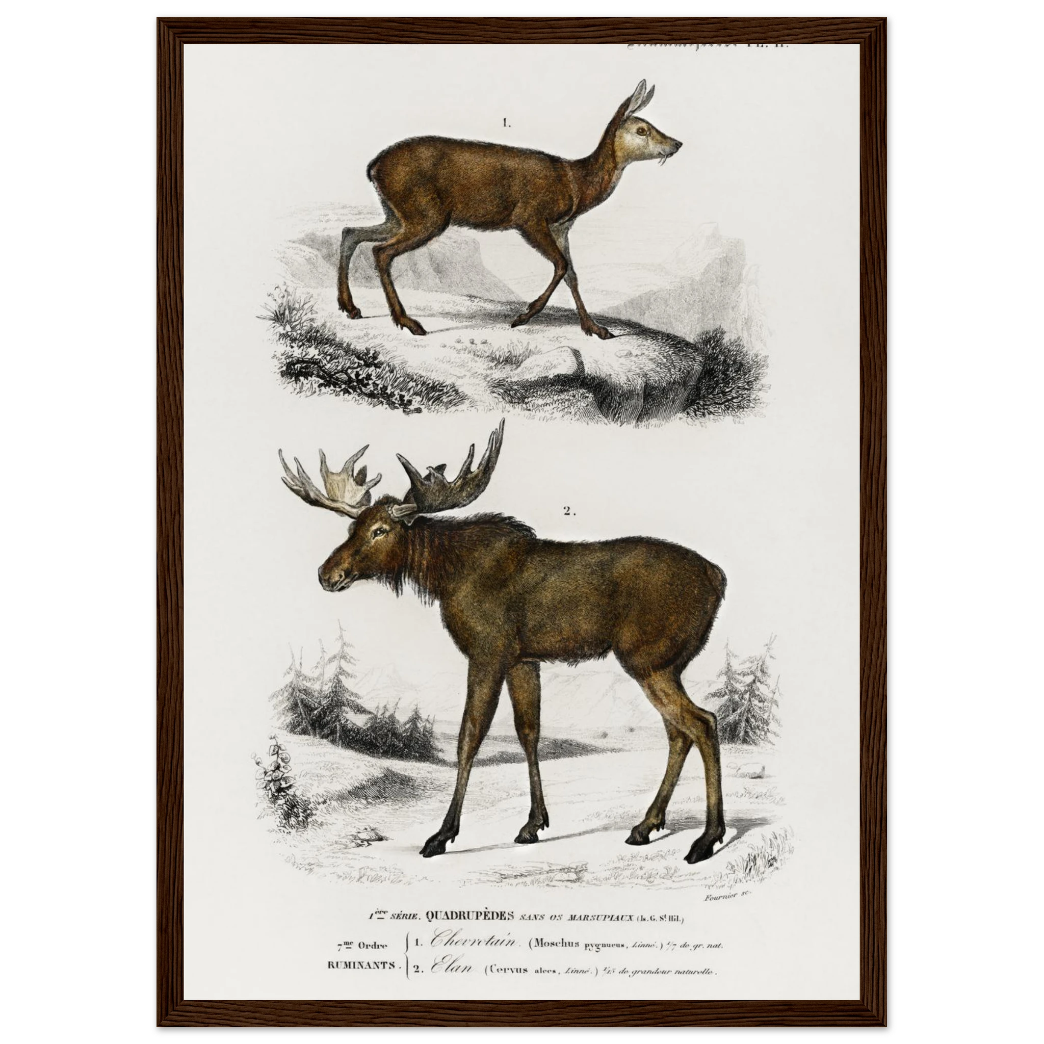 46946b72-bacf-43b2-b016-a8b771871e22