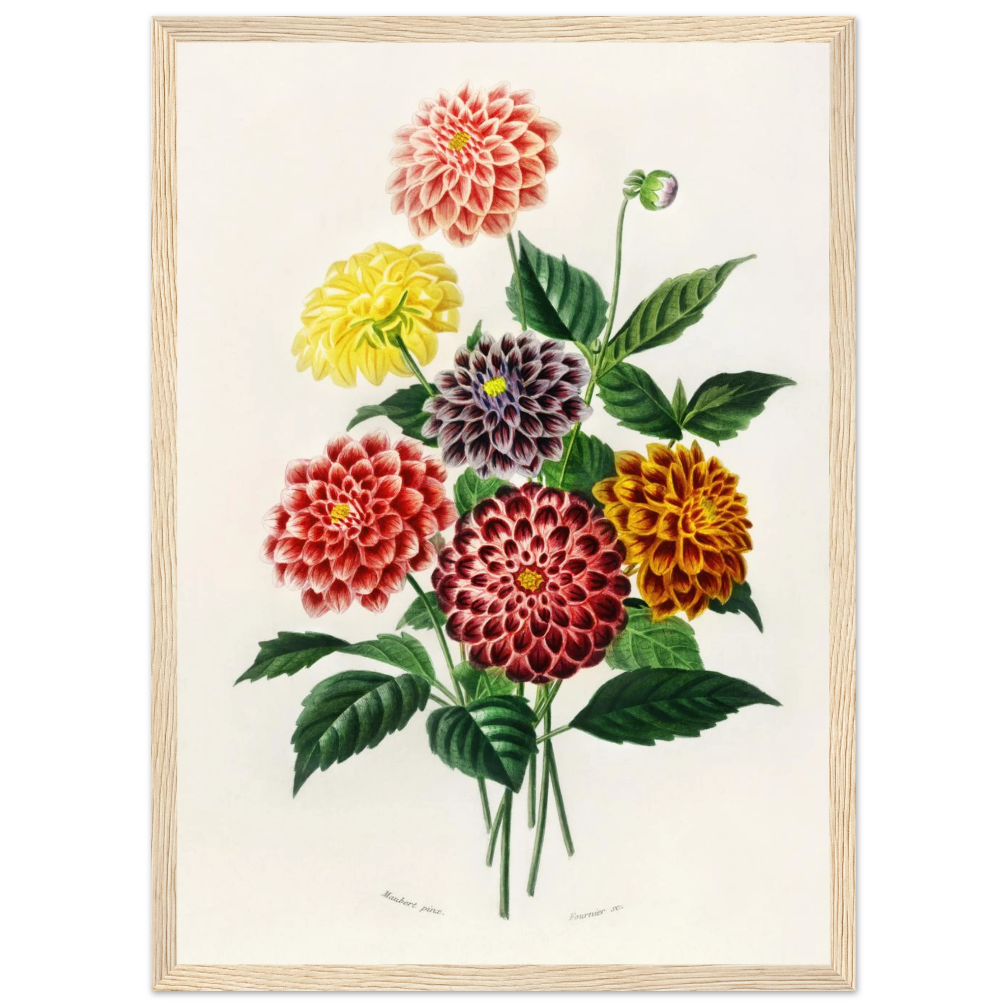 46ac34a5-f607-4f68-9d0b-3cce5d143f38