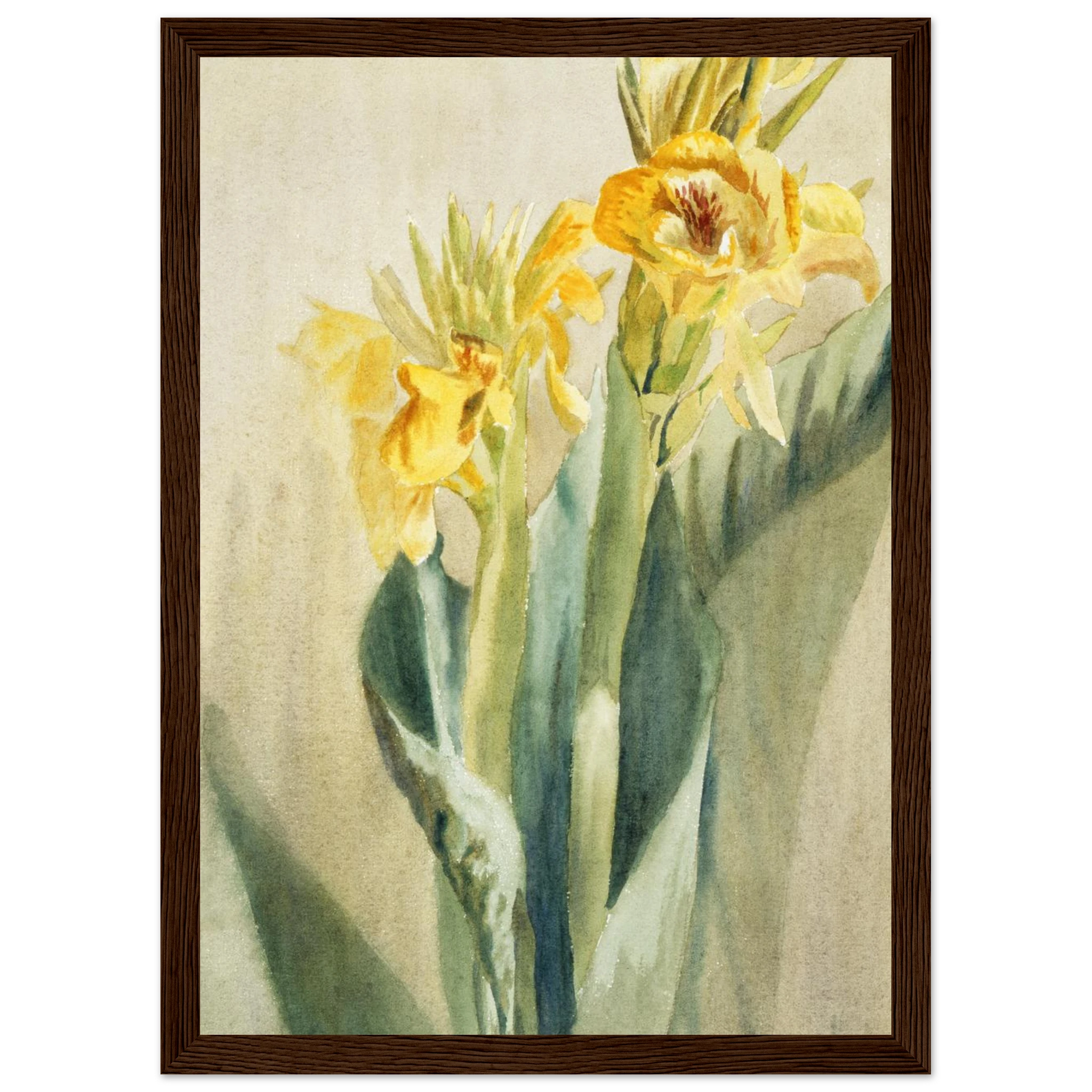 4744610f-d6cb-4544-bb3a-c0fb78887536